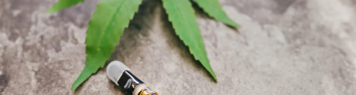 HHC vs THC vs CBD: What’s the Difference & Which Should You Try First?