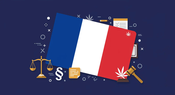 Bandeira de França com elementos da LEI nela