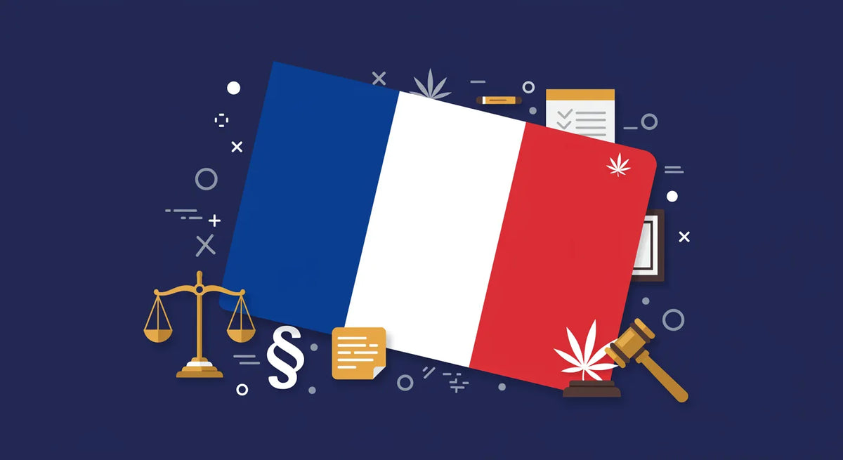 Bandeira de França com elementos da LEI nela