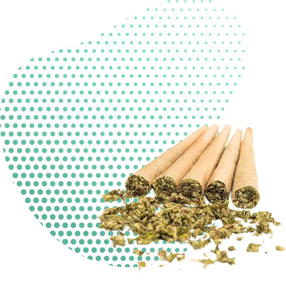 Joints de THC-B - Canapuff