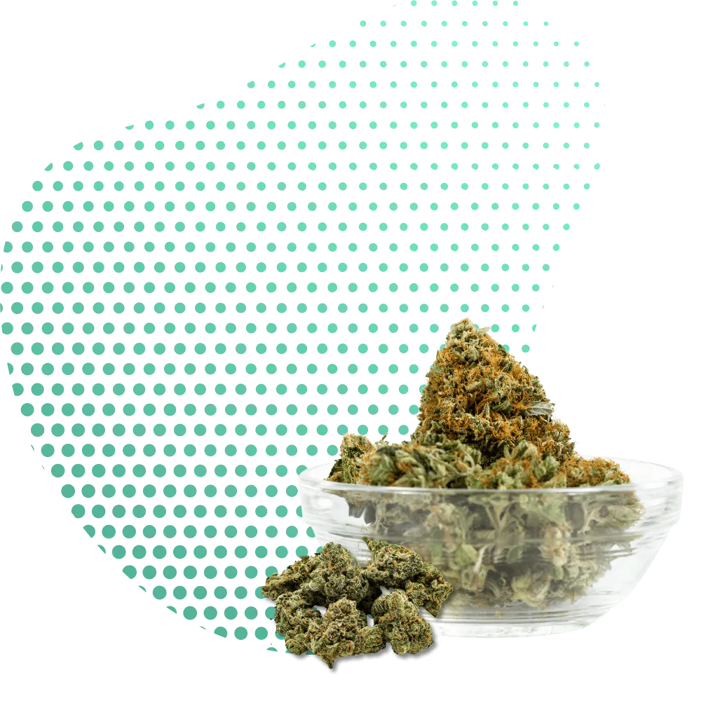 Flores THC-PO-Canapuff