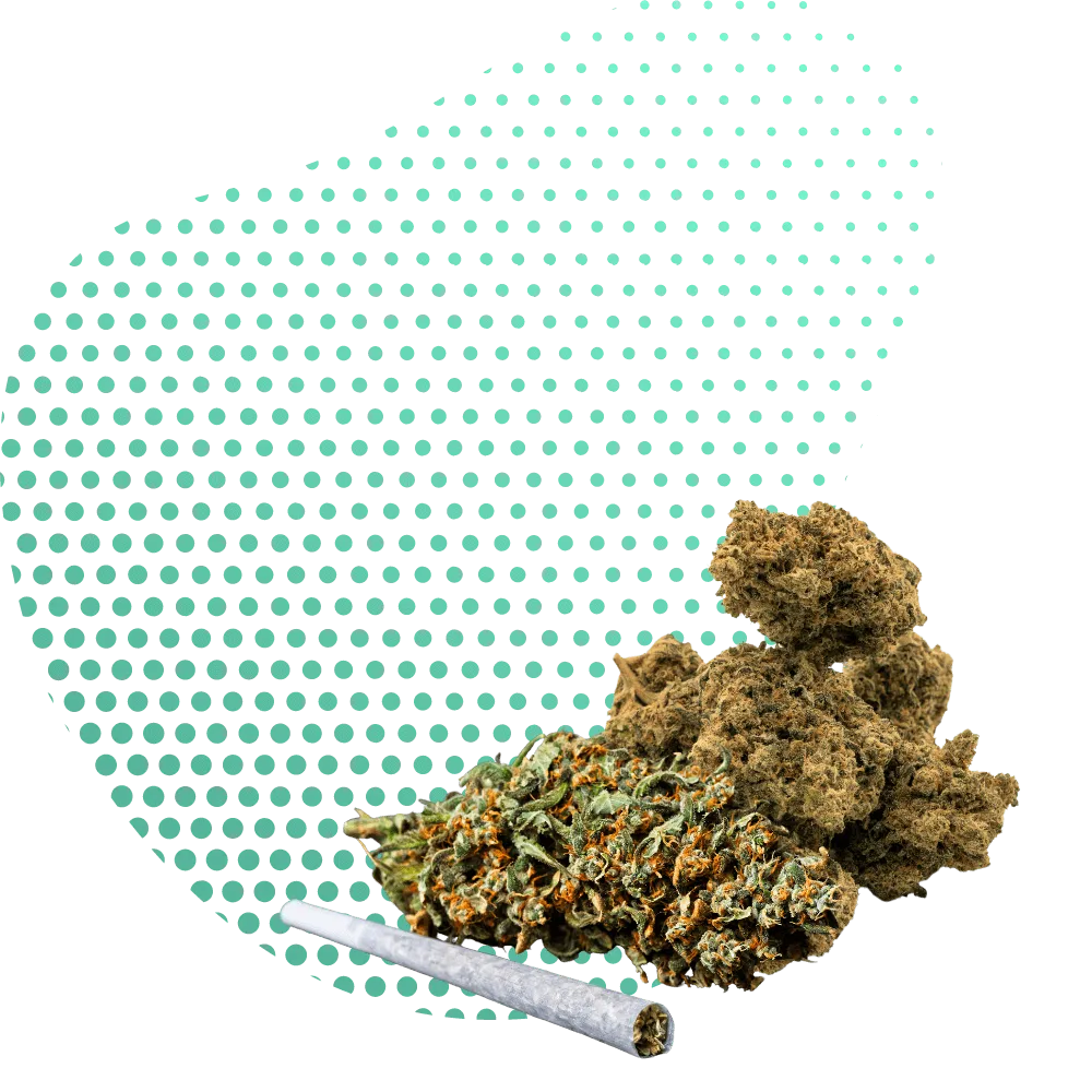 THP420 Flores-Canapuff