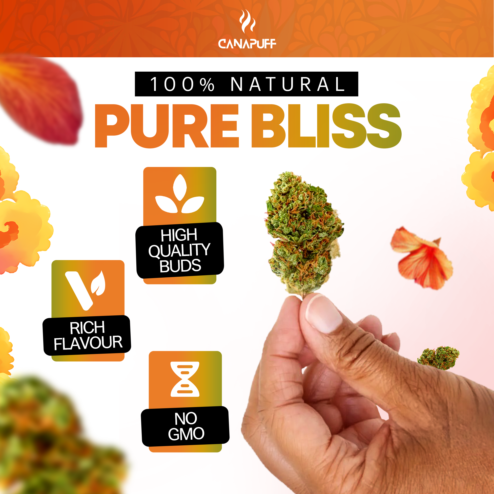 Canapuff - Gelonade 65% - Flores HHC-A - Canapuff