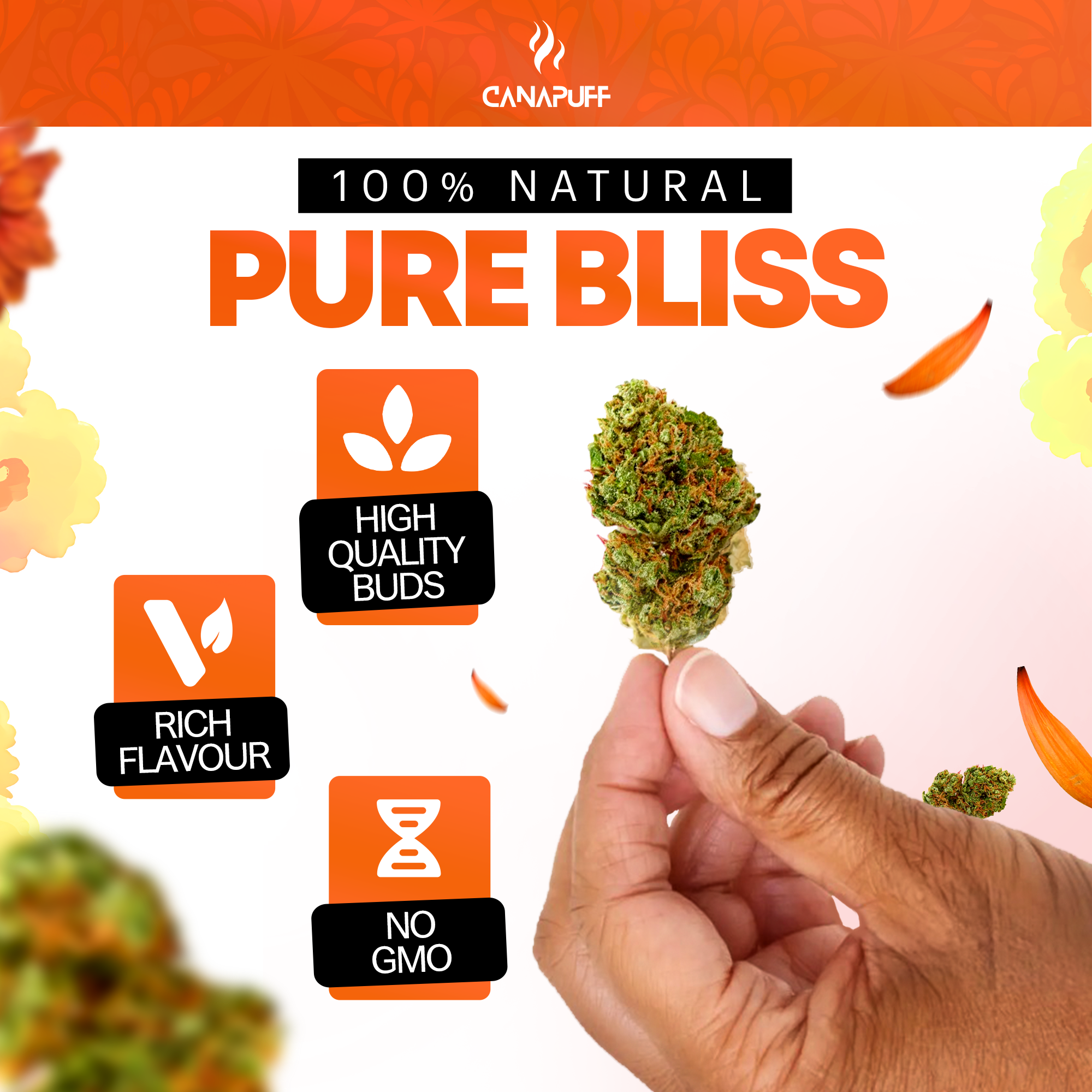 Canapuff - Green Crack 65% - HHC-A Flores-Canapuff