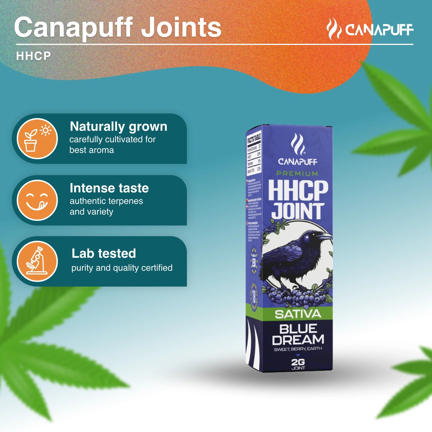 HHC-P Joint 50% Blue Dream 2g - Canapuff