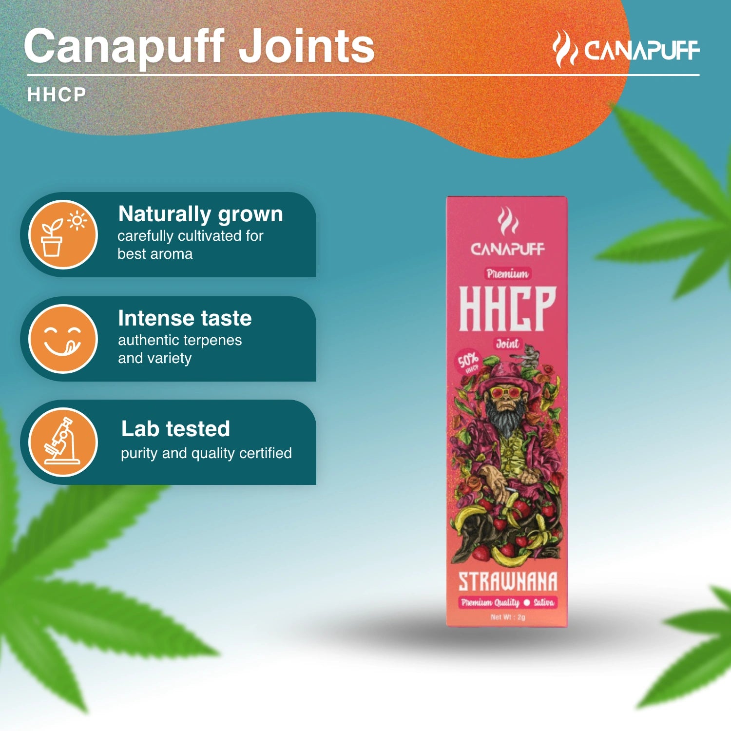 HHC-P Joint 50% Strawnana 2g - Canapuff