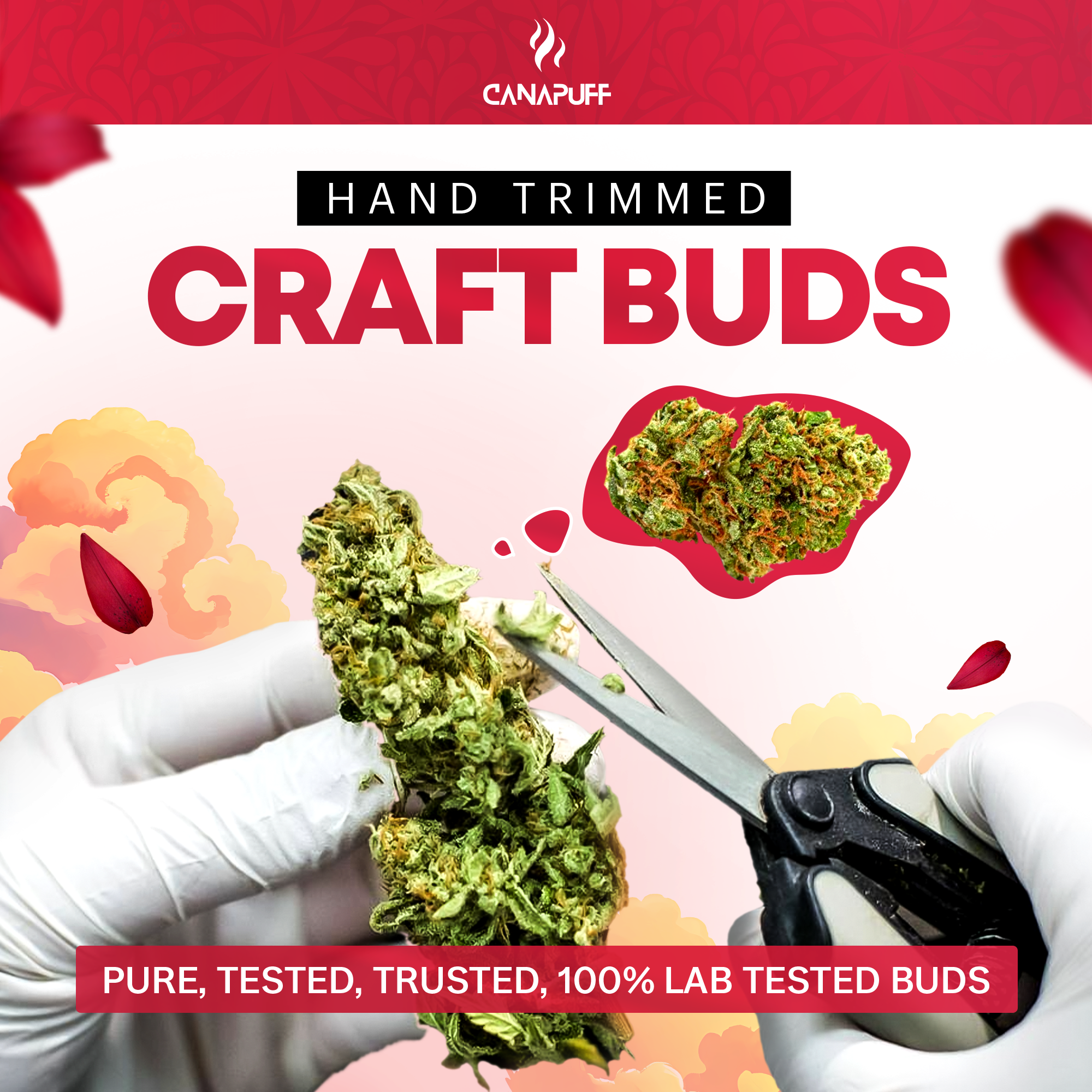 Canapuff - Lemon Cherry Gelato 65% - HHC-A Flores-Canapuff