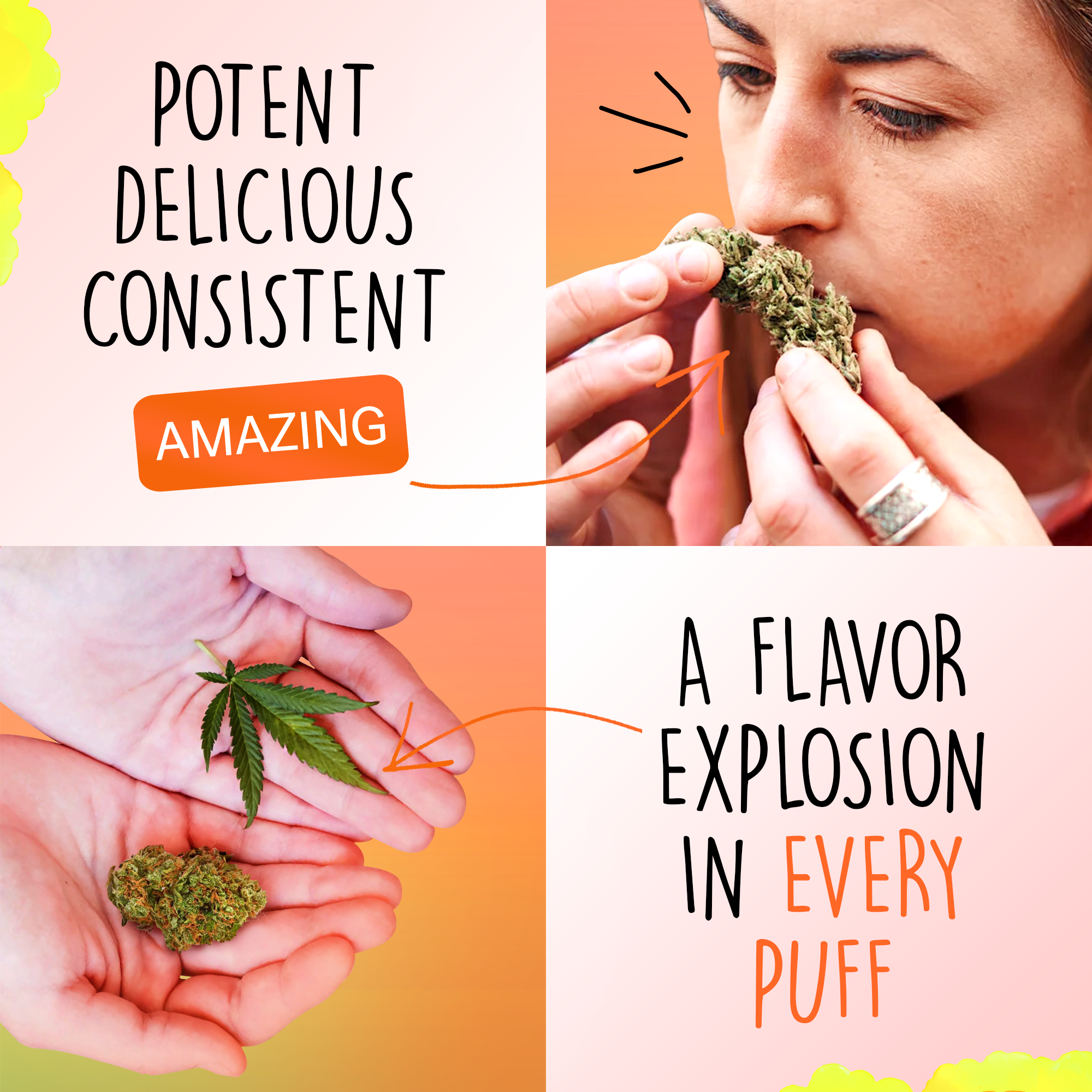 Canapuff - Green Crack 65% - HHC-A Flores-Canapuff