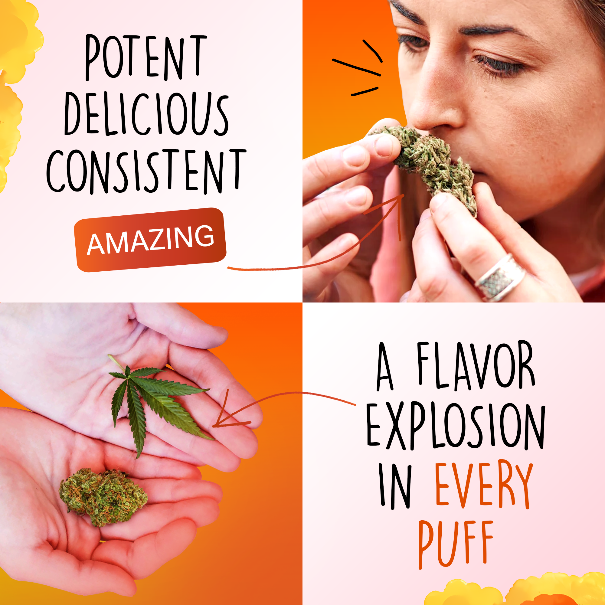 Canapuff - Tangie Dream 65% - HHC-A Flores-Canapuff