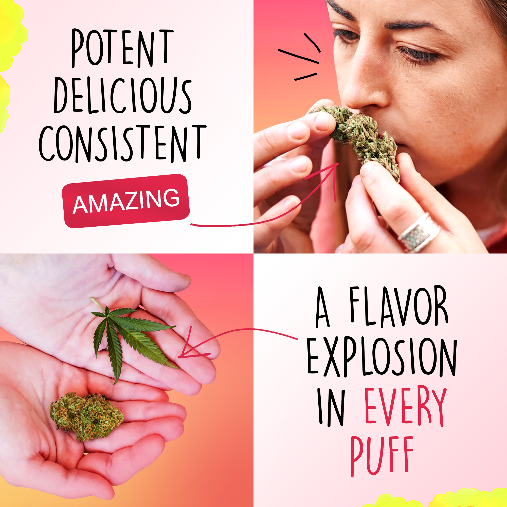 Canapuff - Lemon Cherry Gelato 65% - HHC-A Flores-Canapuff