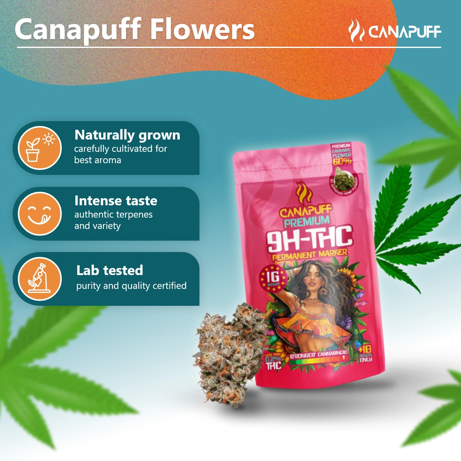 Permanent Marker 60% - Flores 10-OH-THC