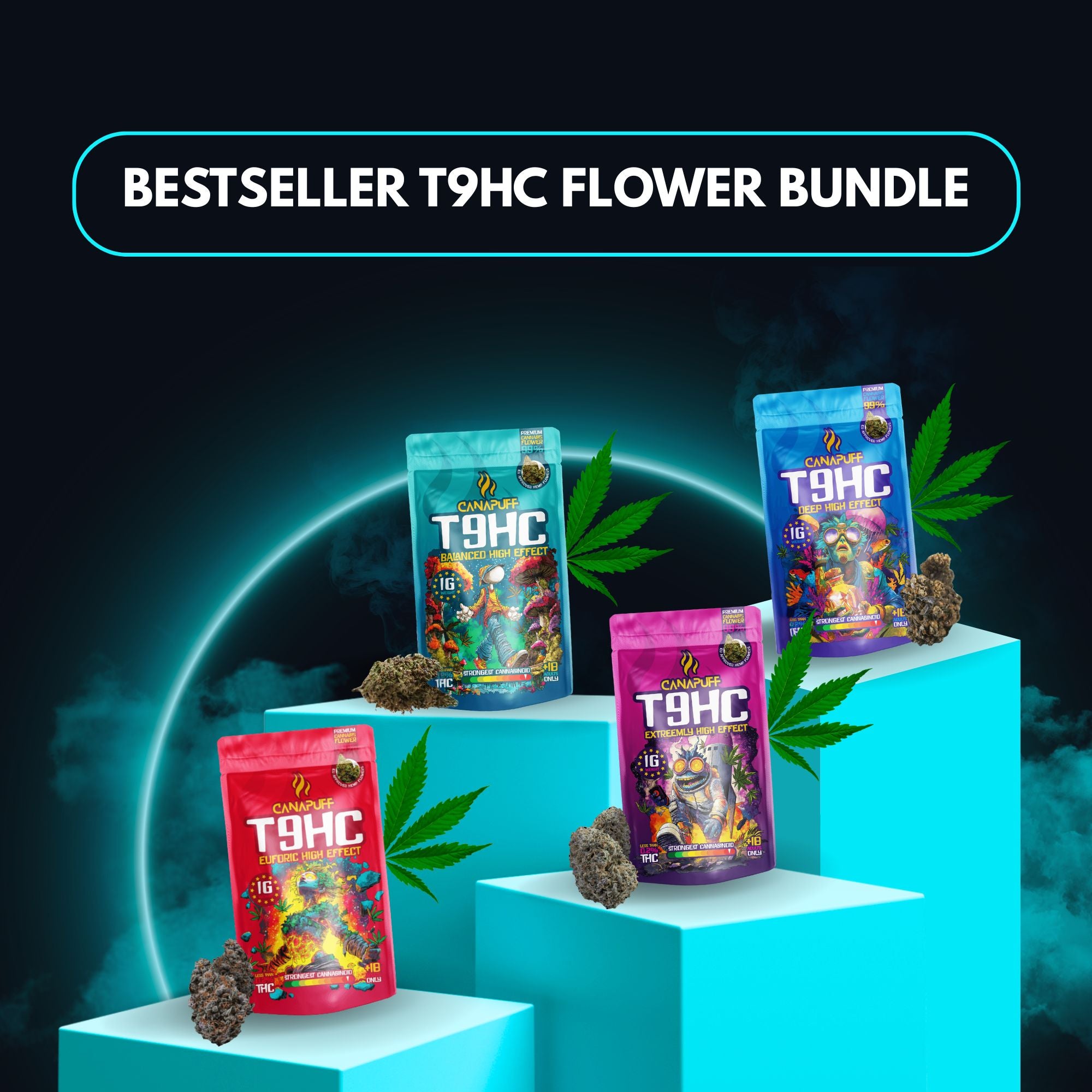 Bestseller T9HC Flor Bundle