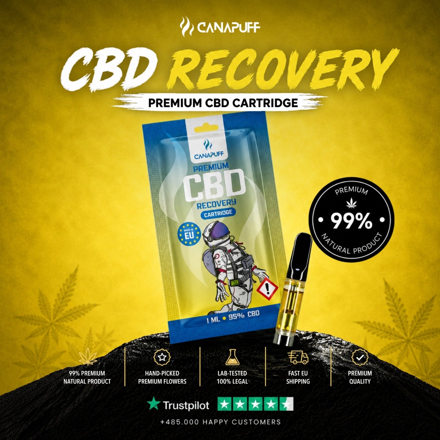 CBD Cartucho Recovery 95%