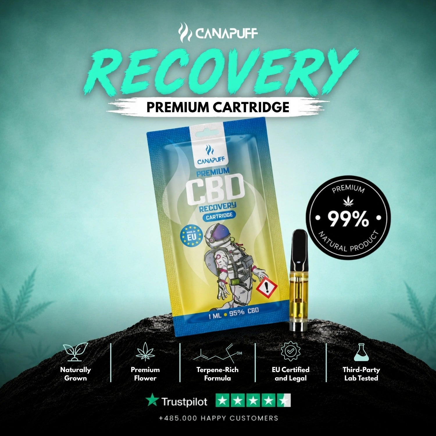 CBD Cartucho Recovery 95%