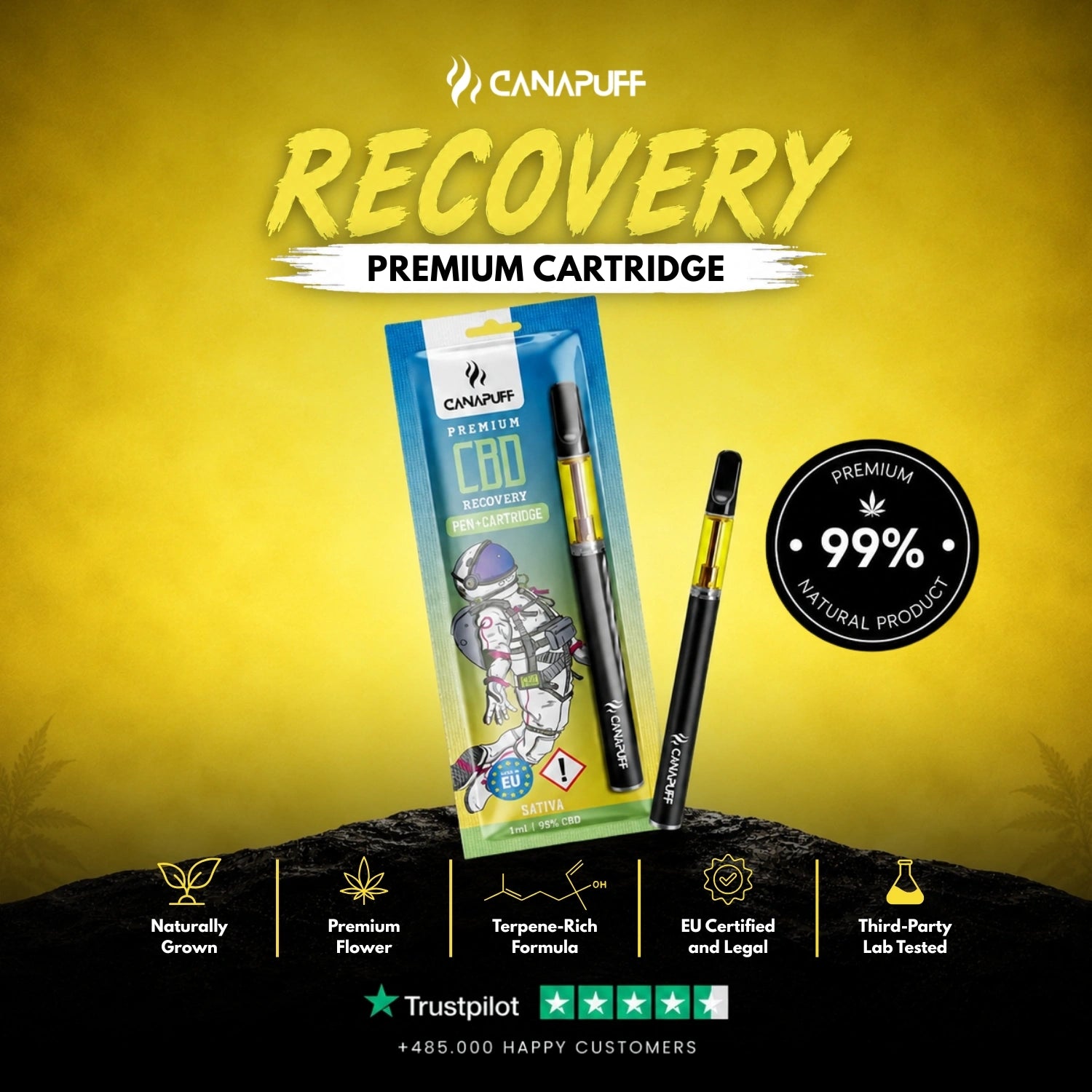 CBD Pen+Cartucho Recovery 95%