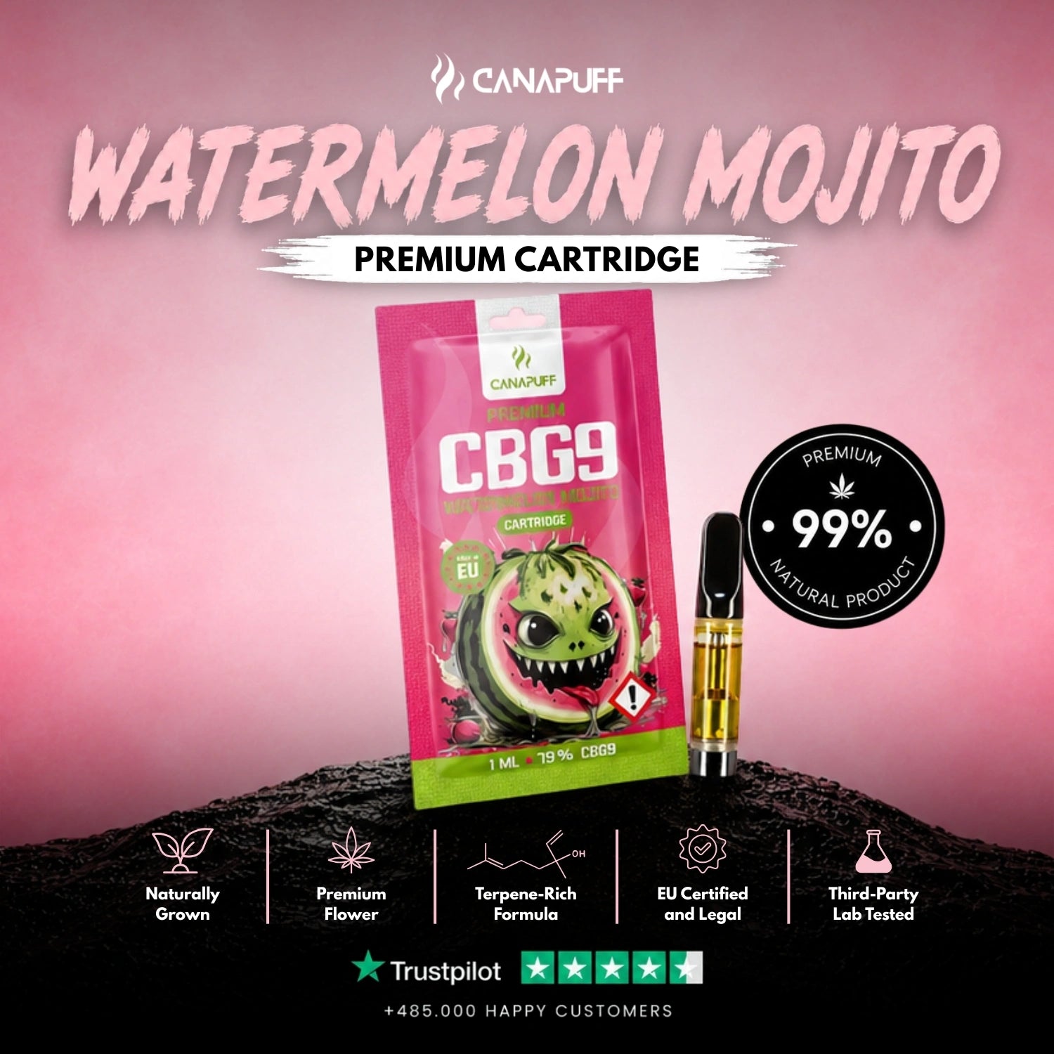 CBG9 Cartucho Watermelon Mojito 79%