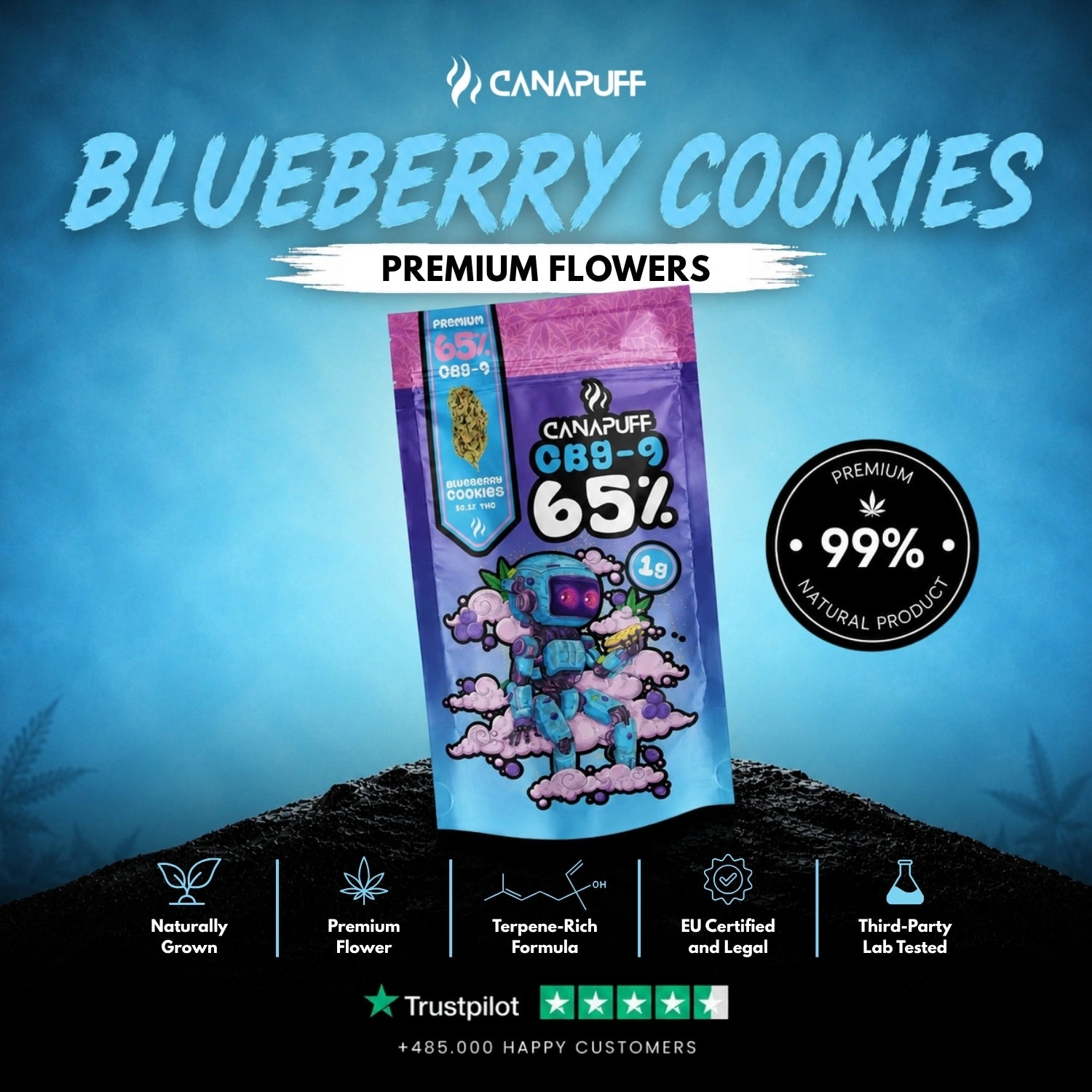 CBG9 Flores Blueberry Cookie 65%