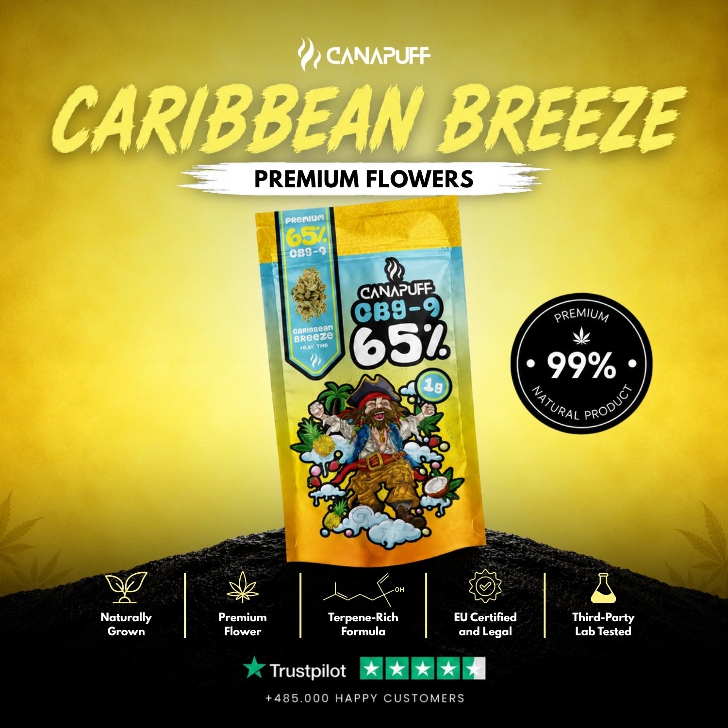 CBG9 Flores Caribbean Breeze 65%