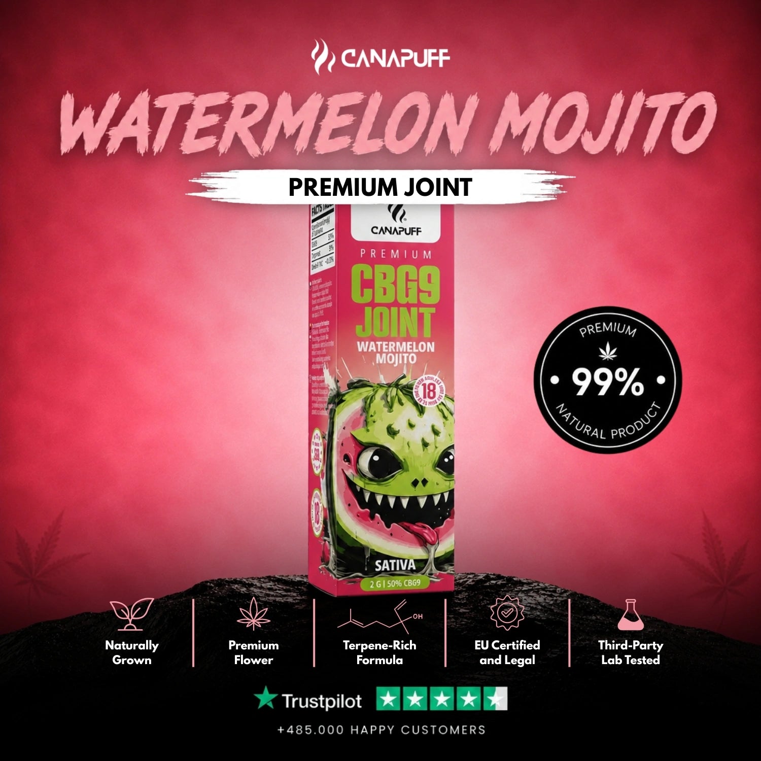 CBG9 Joint Watermelon Mojito 50% 2g