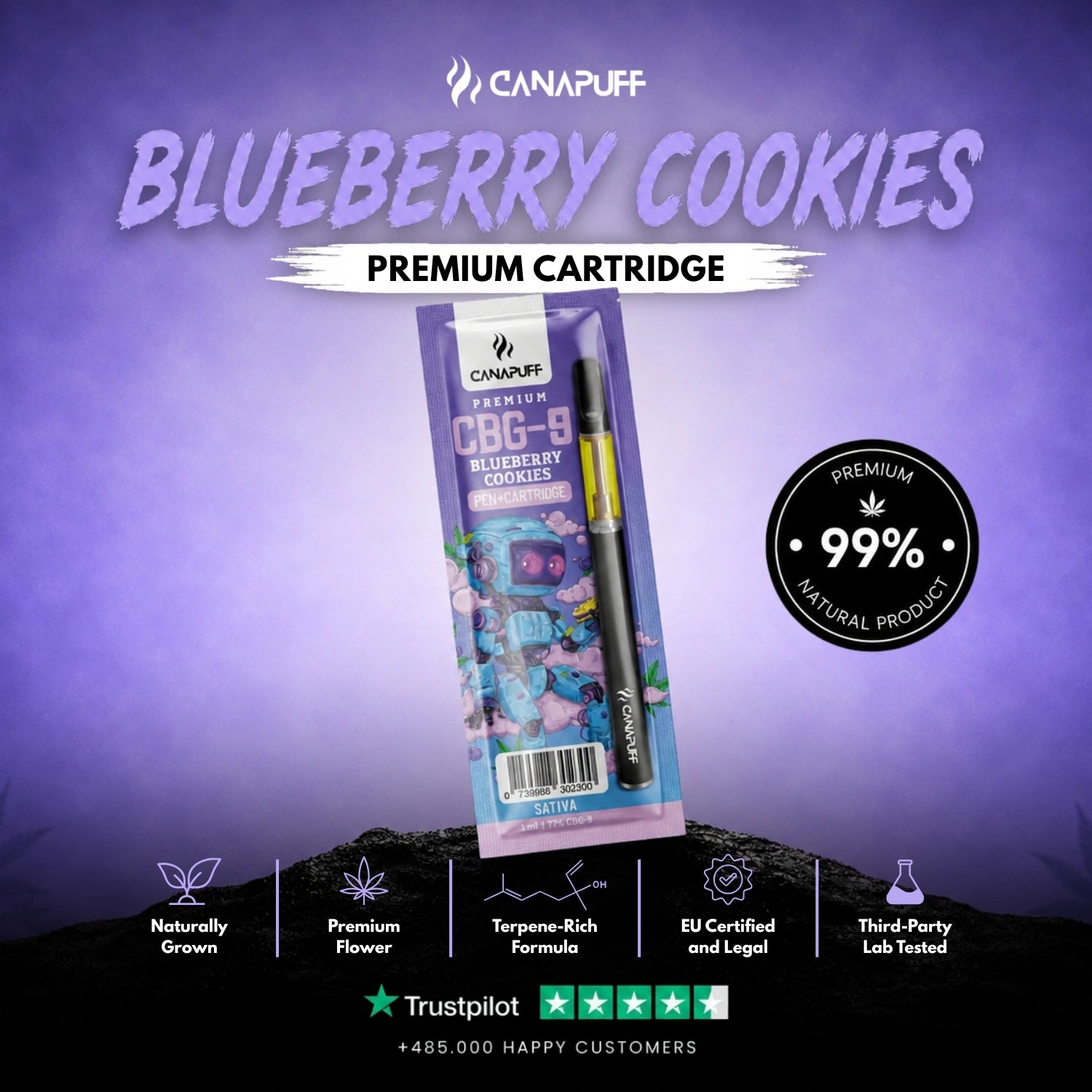 CBG9 Pen+Cartucho Mirtilo Cookies 79%