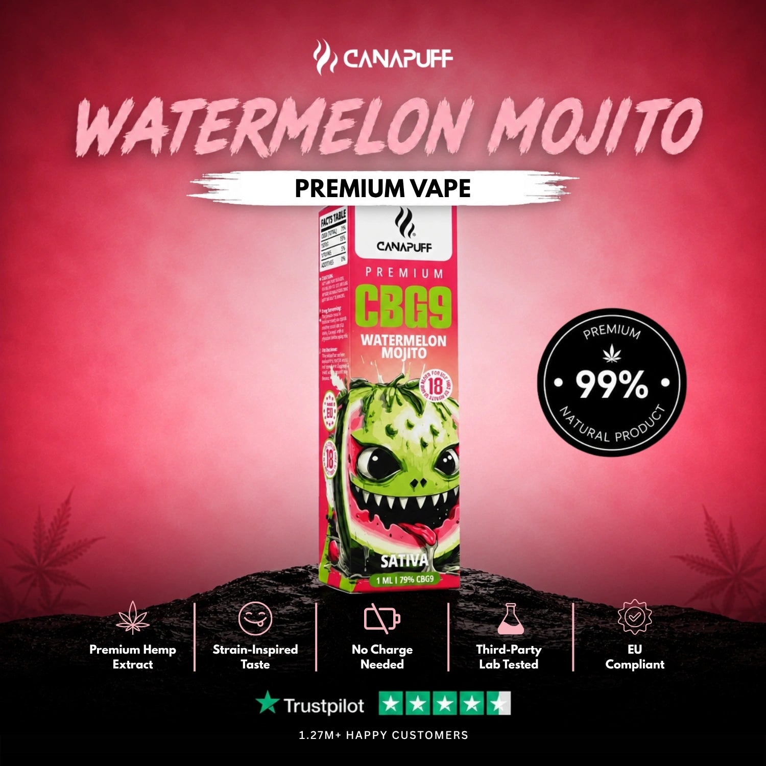 CBG9 Vape Watermelon Mojito 79% 1ml