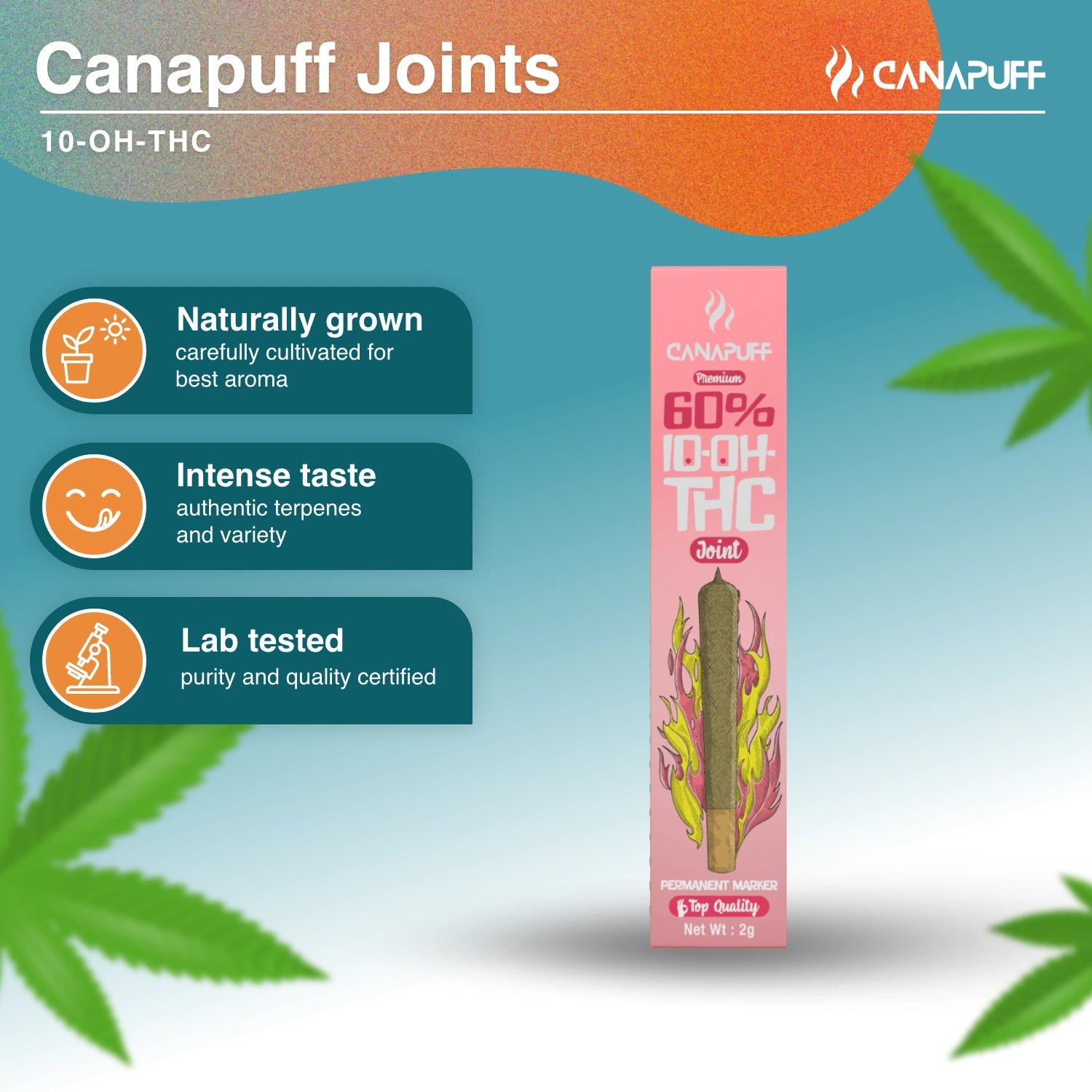 Permanent Marker 60% 10-OH-THC Charro 2g - Canapuff