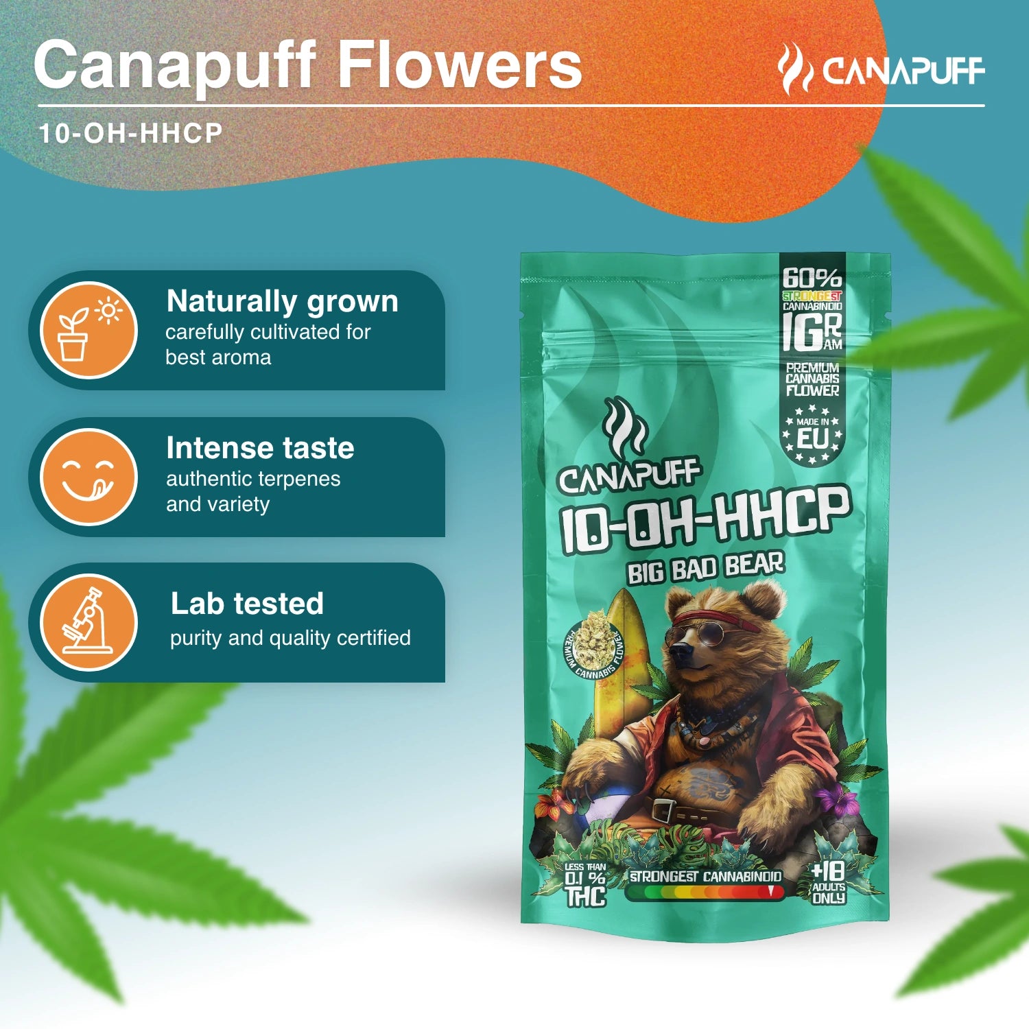 Big Bad Bear 60% - Flores 10-OH-HHCP - Canapuff
