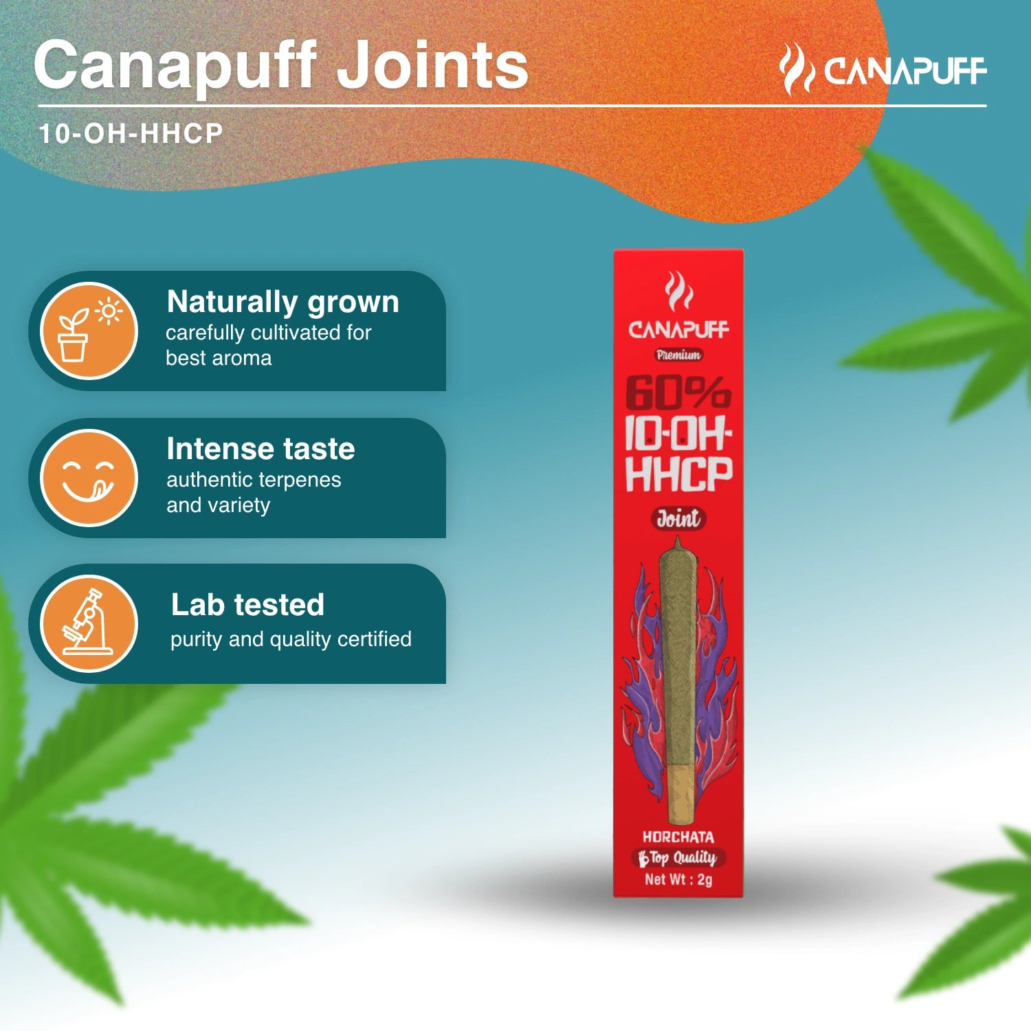 Horchata 60% 10-OH-HHCP Joint 2g - Canapuff