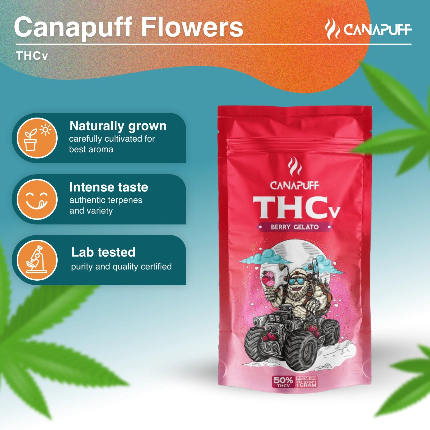 Berry Gelato 50% - Flores THCv - Canapuff