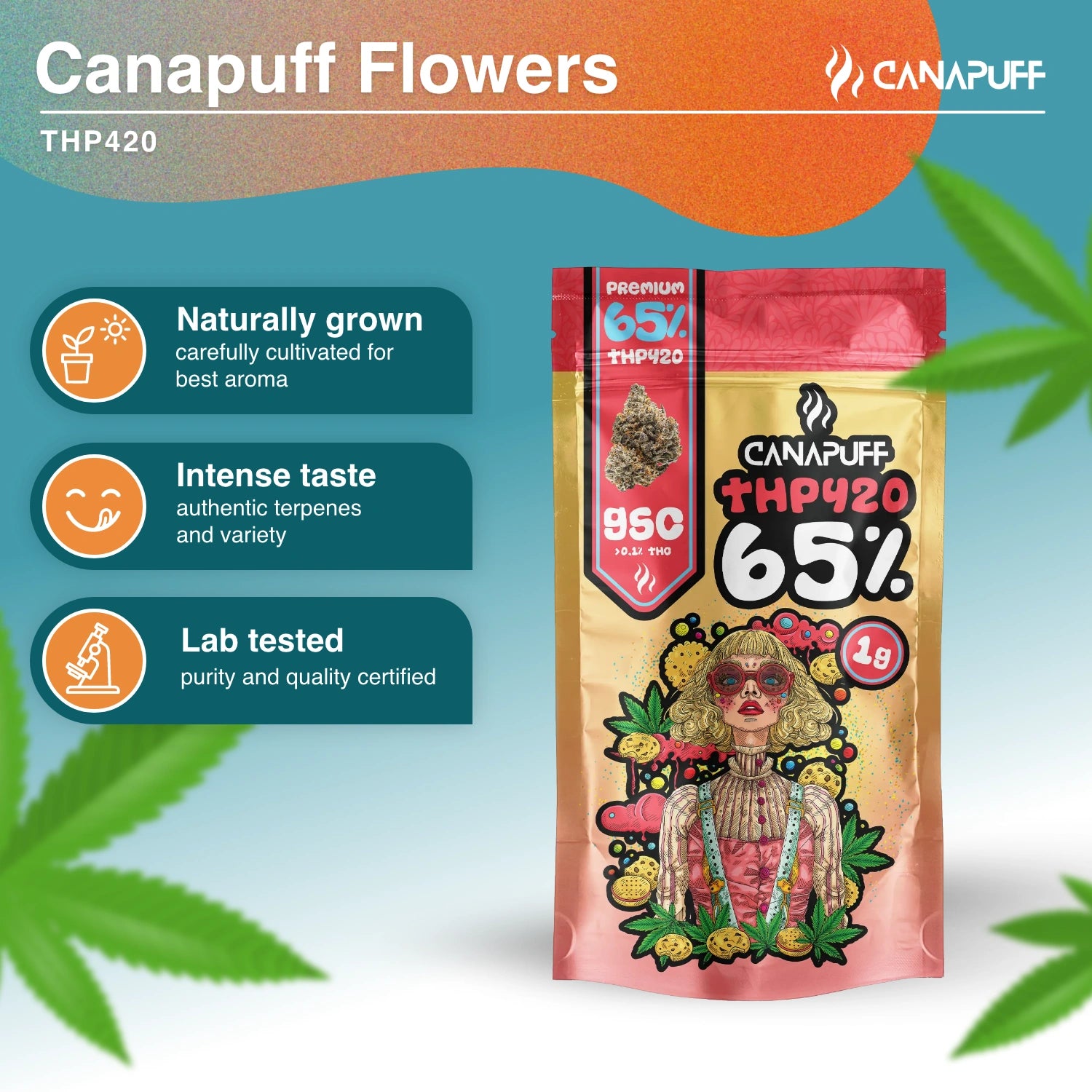 GSC 65% - THP420 Flores - Canapuff