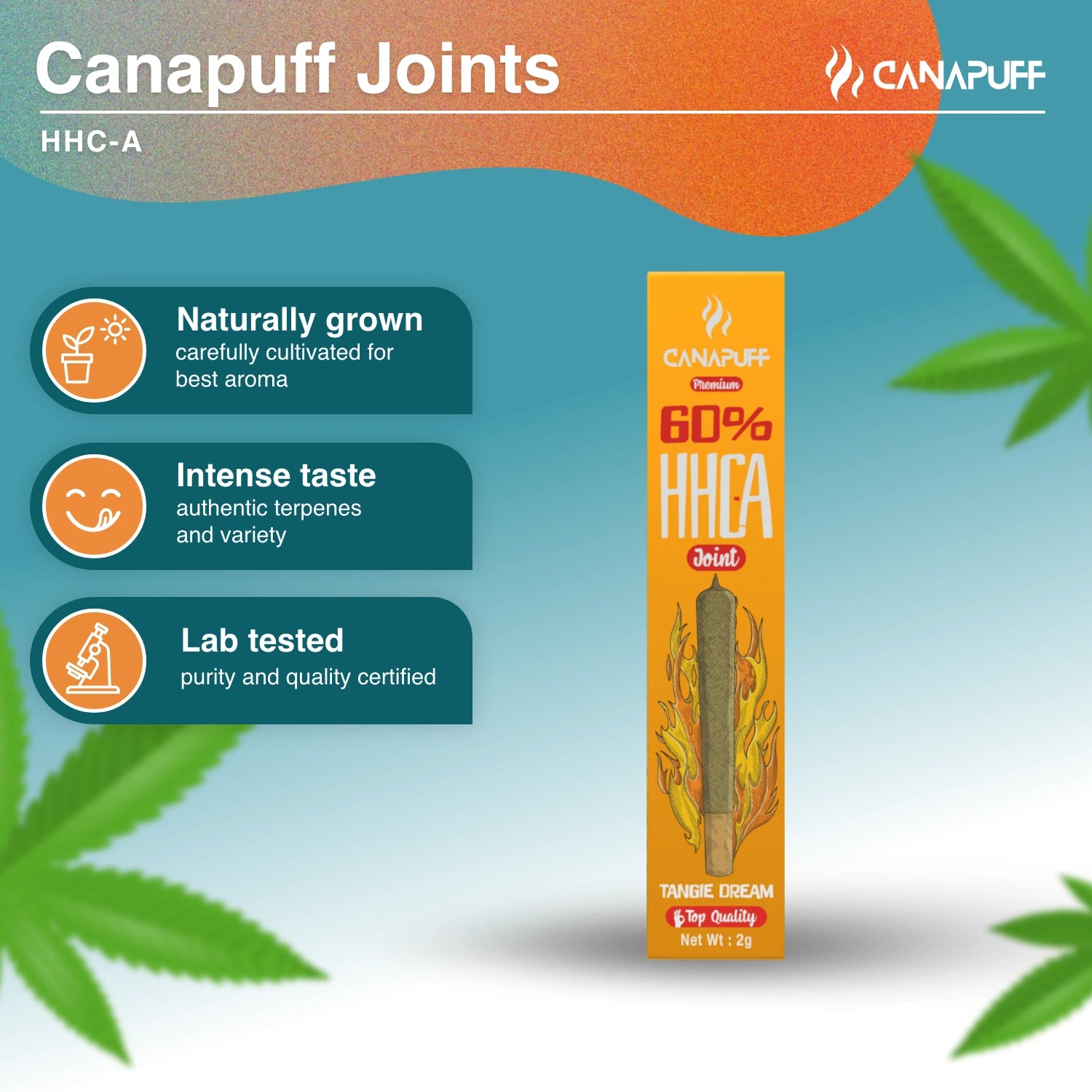 HHC-A Joint 60% Tangie Dream - Canapuff