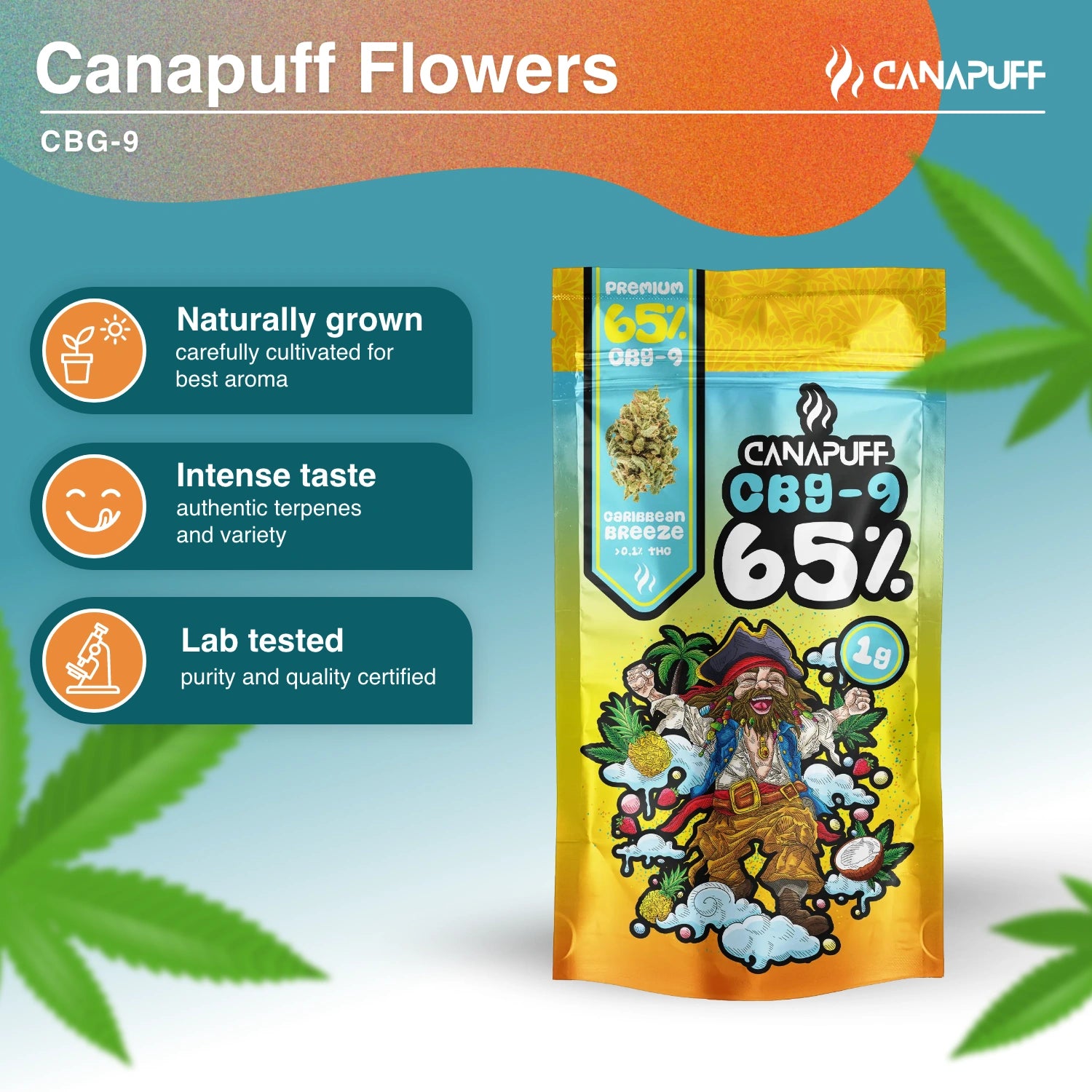Caribbean Breeze 65% - Flores CBG9 - Canapuff