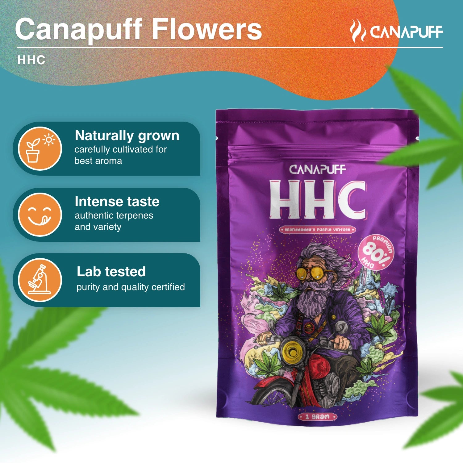 Grandaddy's Purple Vintage 80% - HHC Flores - Canapuff