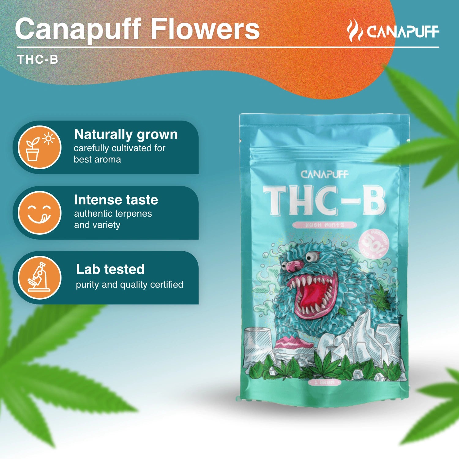 Kush Mintz 50% - Flores THC-B - Canapuff