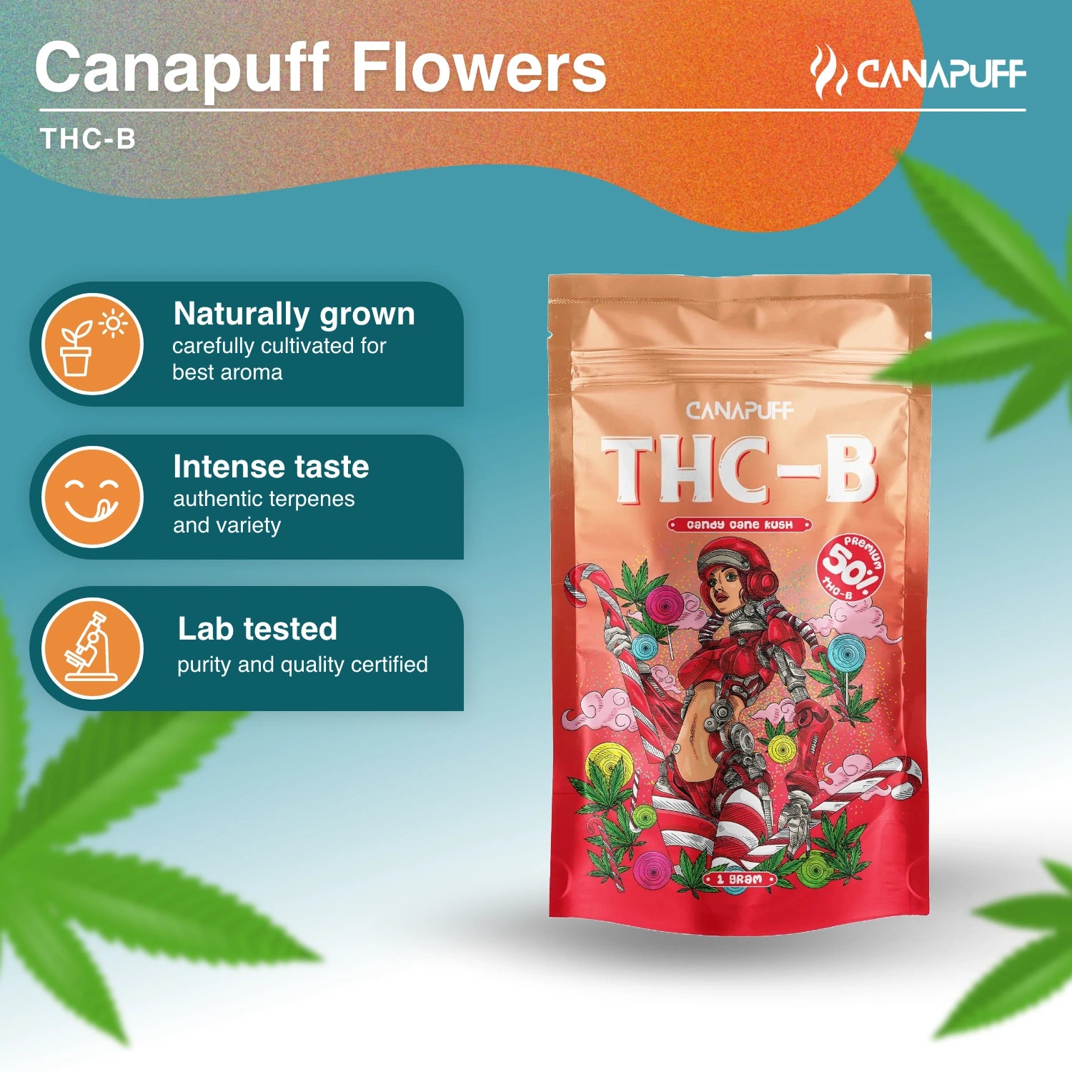 Candy Cane Kush 50% - Flores THC-B - Canapuff