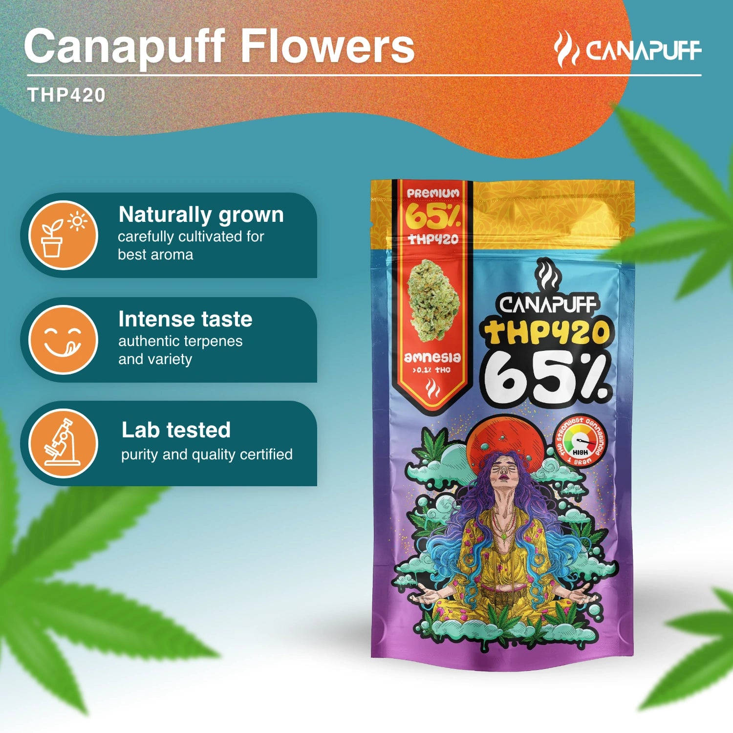Amnesia 65% - THP420 Flor - Canapuff
