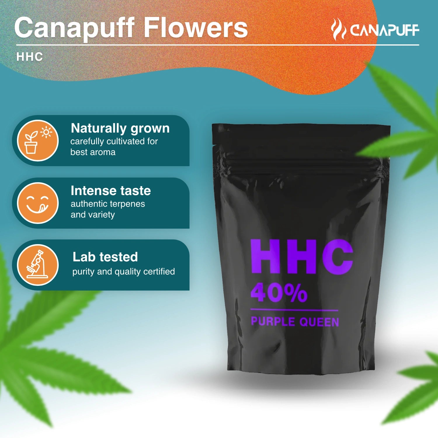 Purple Queen 40% - Canapuff