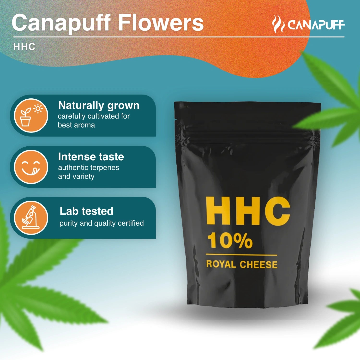 HHC Royal Cheese 10% - Canapuff