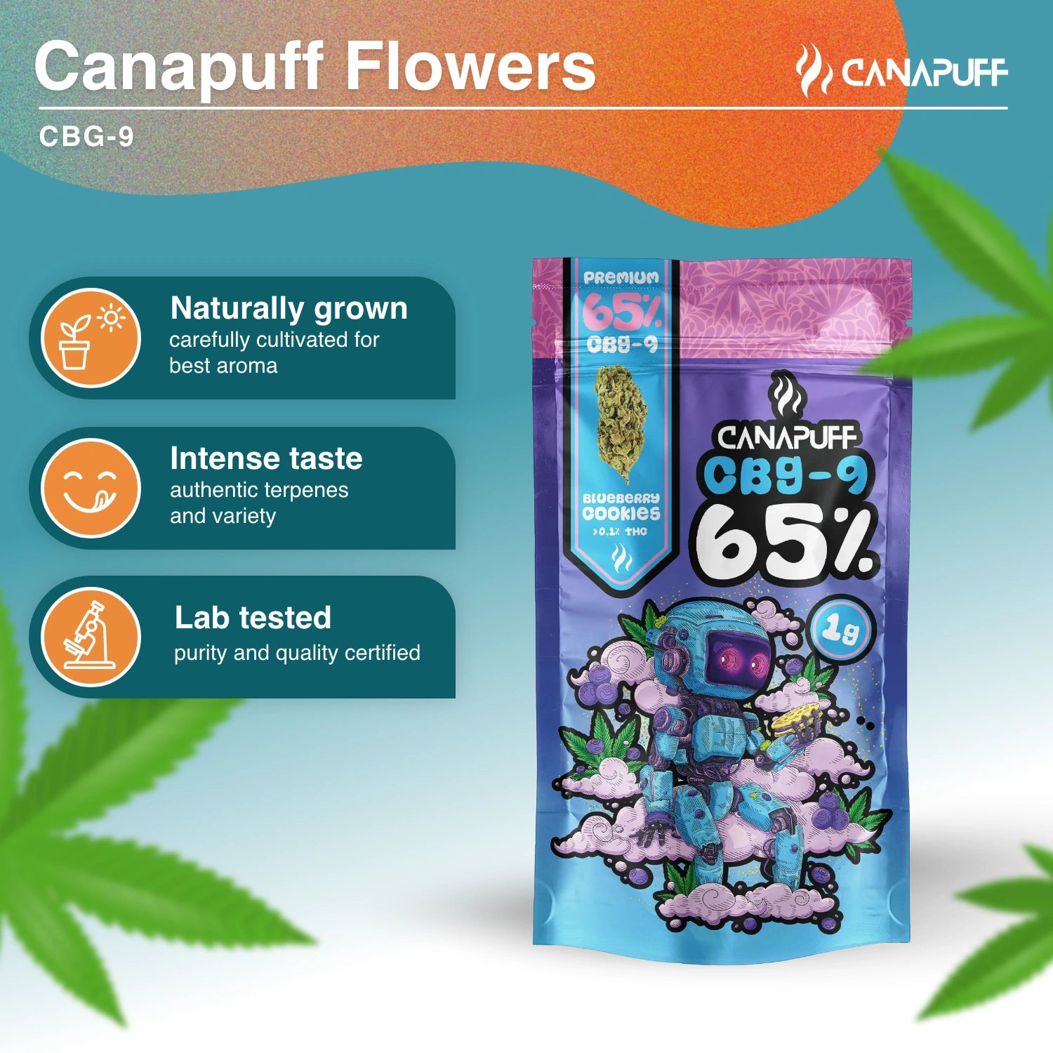 Blueberry Cookie 65% - Flores CBG9 - Canapuff