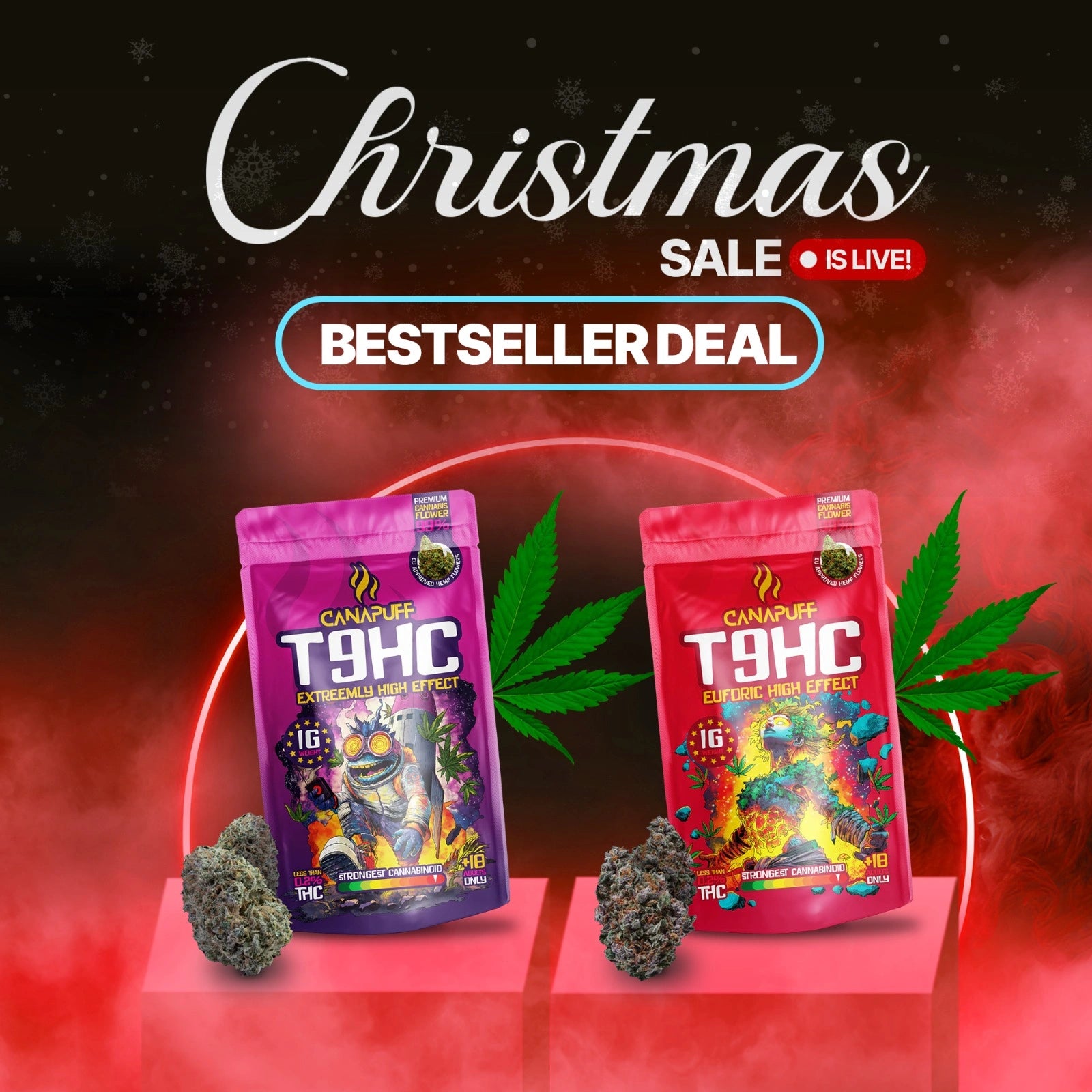 T9HC Flores bestseller Acordo