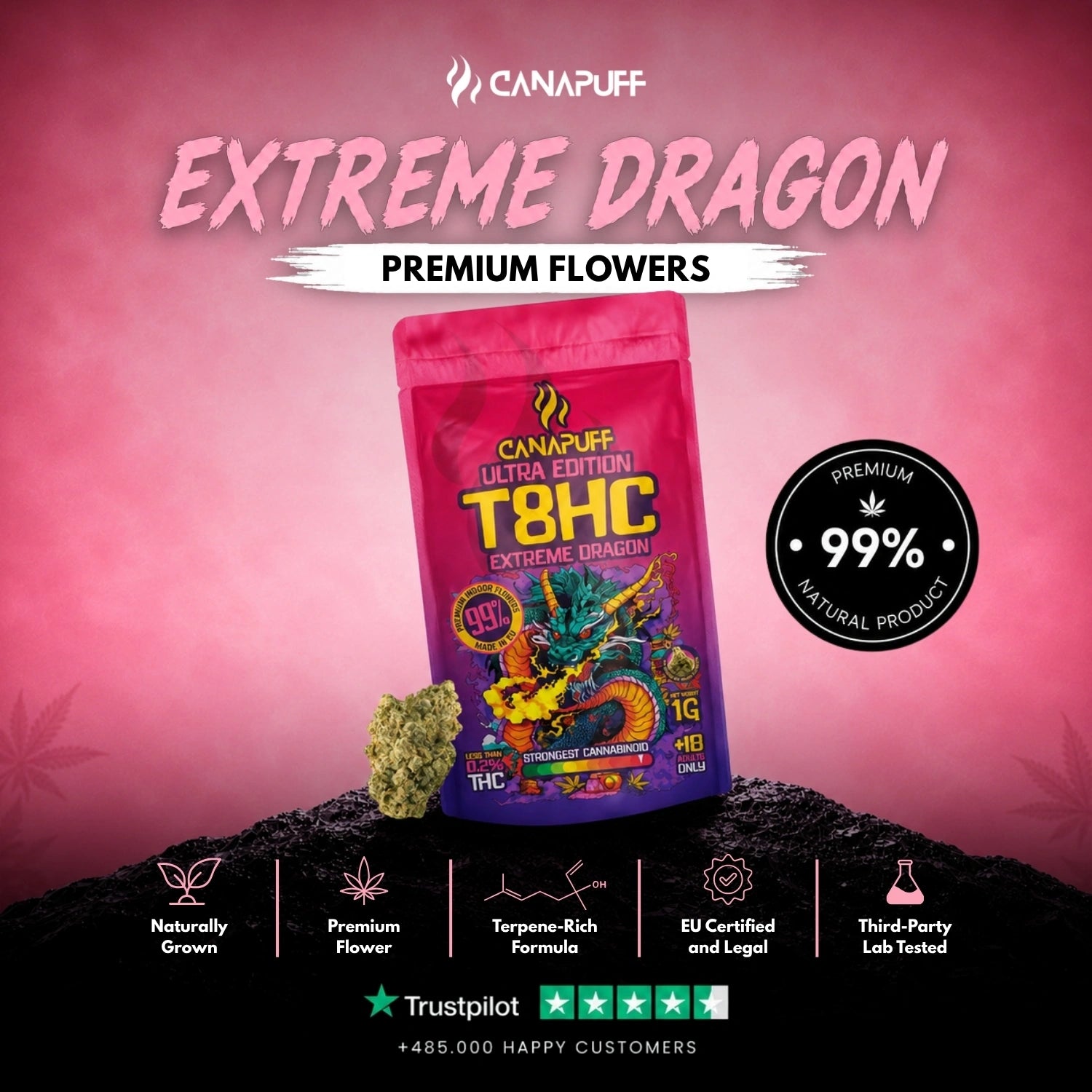 Flores T8HC Extreme Dragon 99%