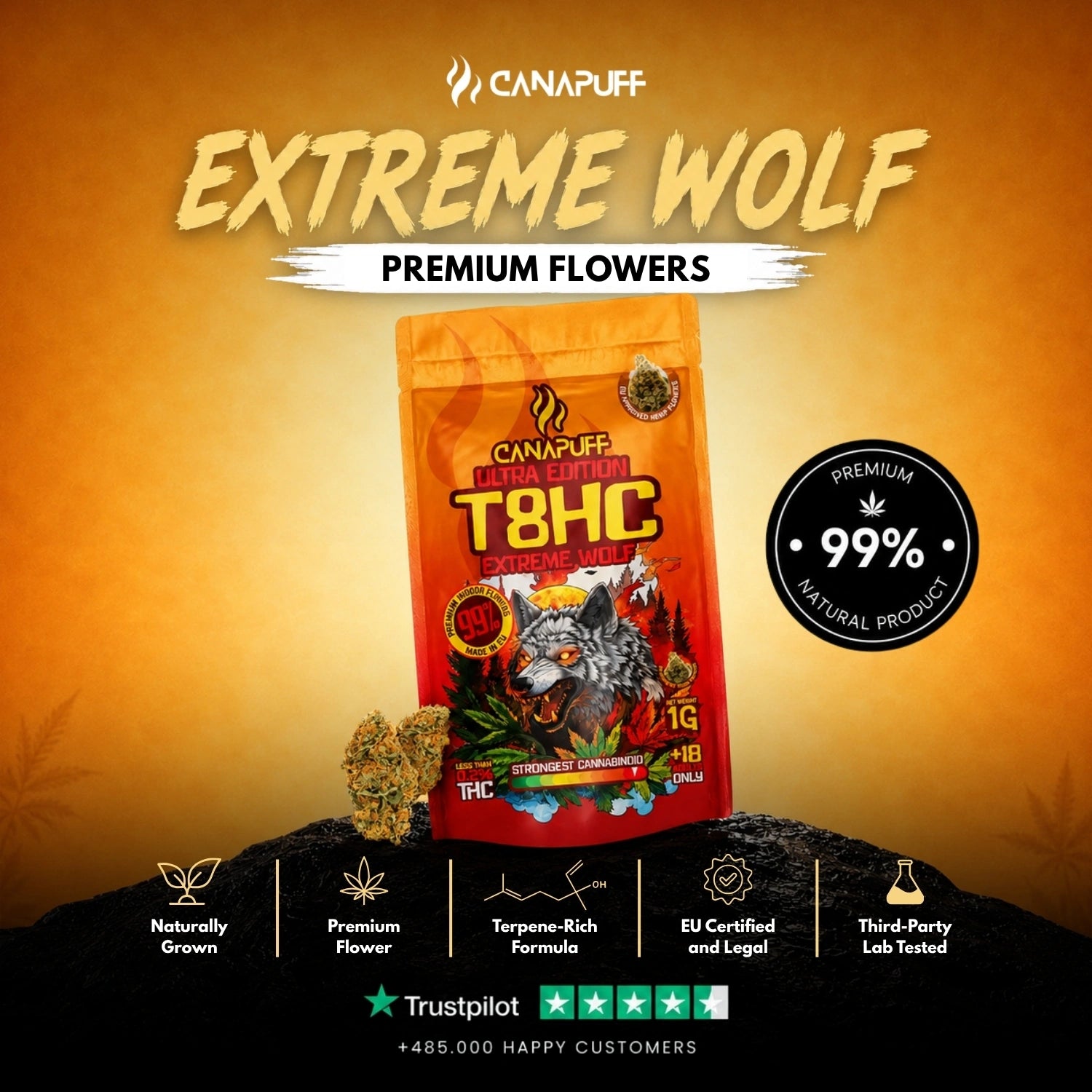 Flores T8HC Extreme Wolf 99%