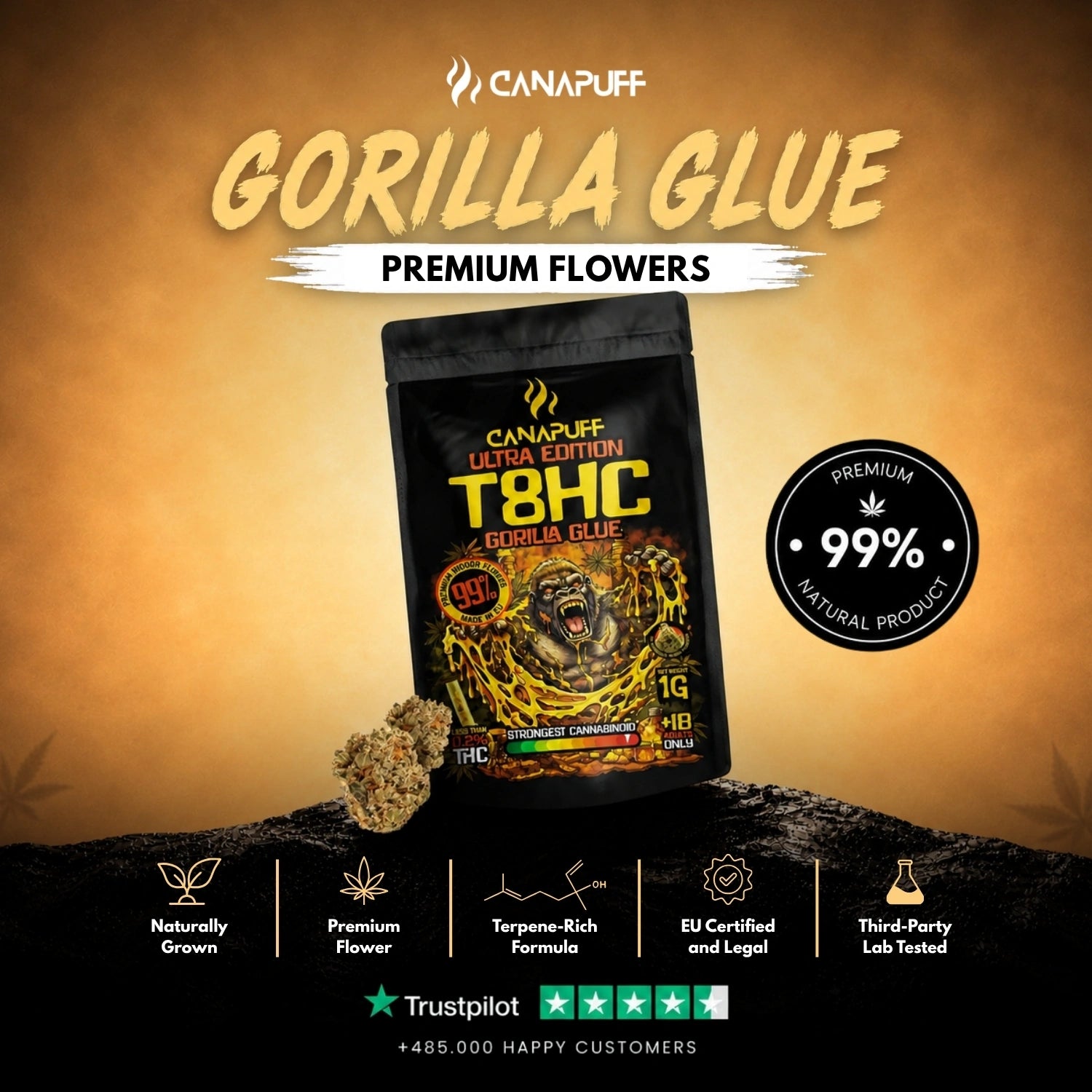 Flores T8HC Gorilla Glue 99%