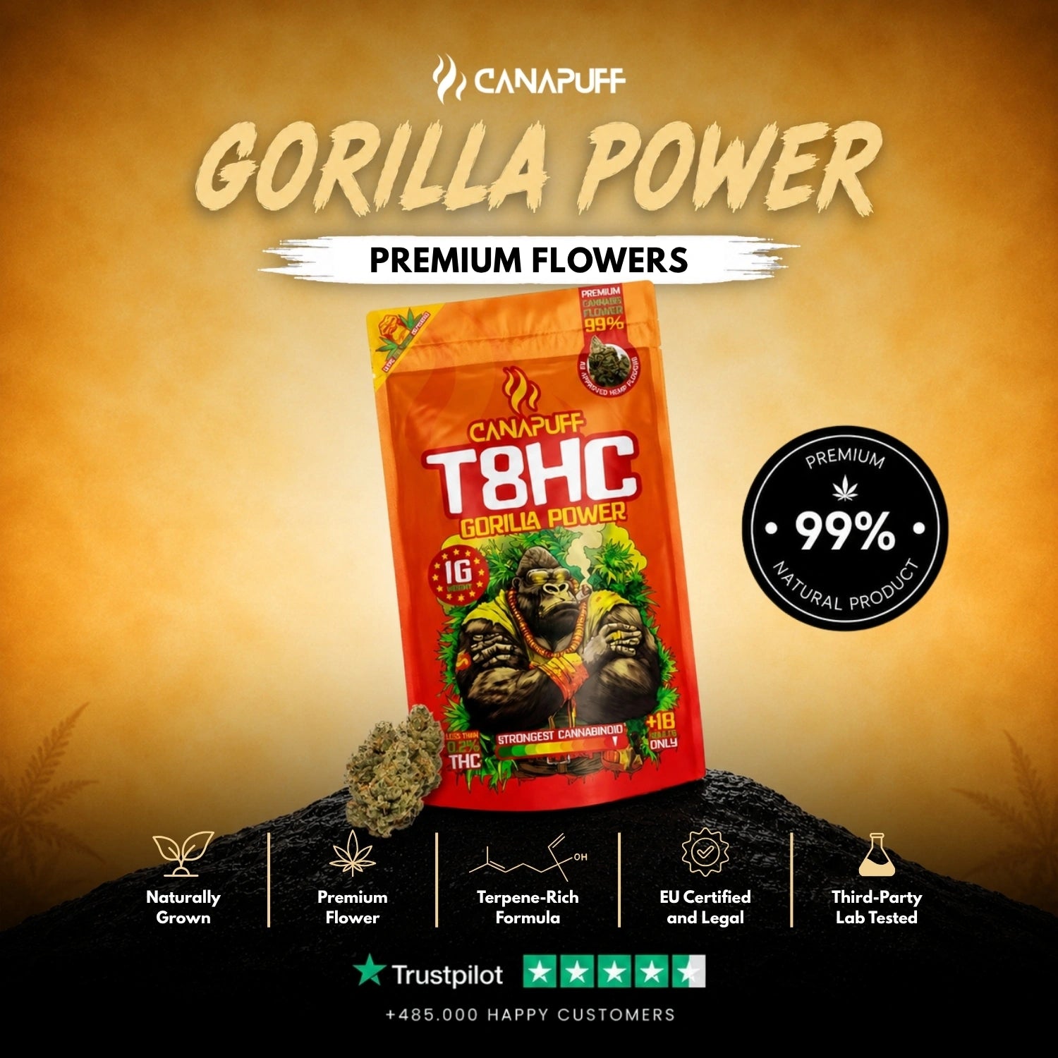 T8HC Flores Gorilla Power 99%