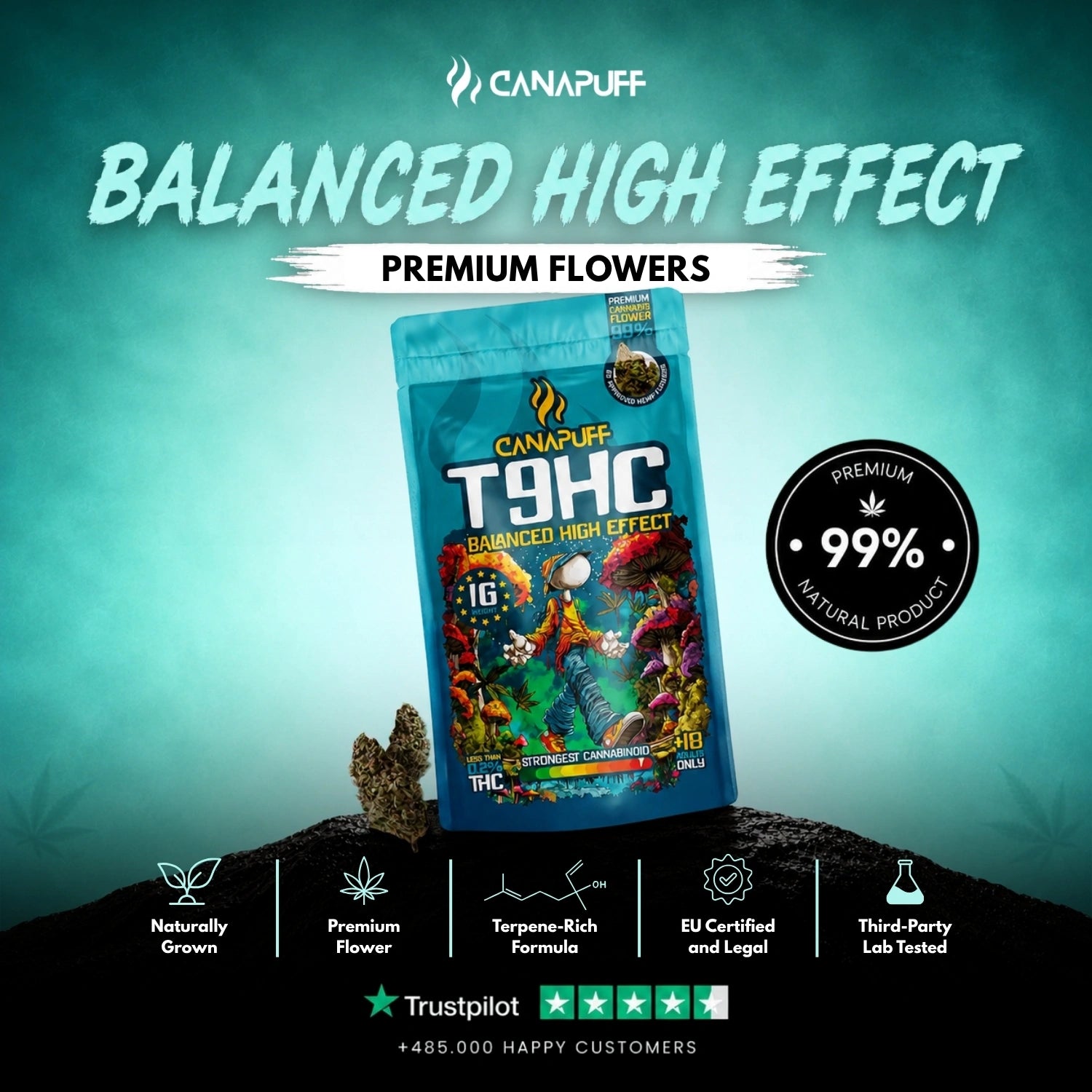 T9HC Flores Balanced 99%