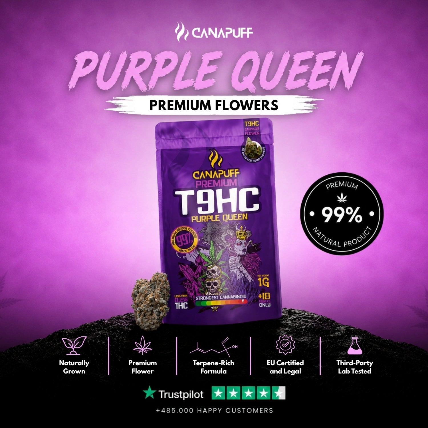 Flores T9HC Purple Queen 99%