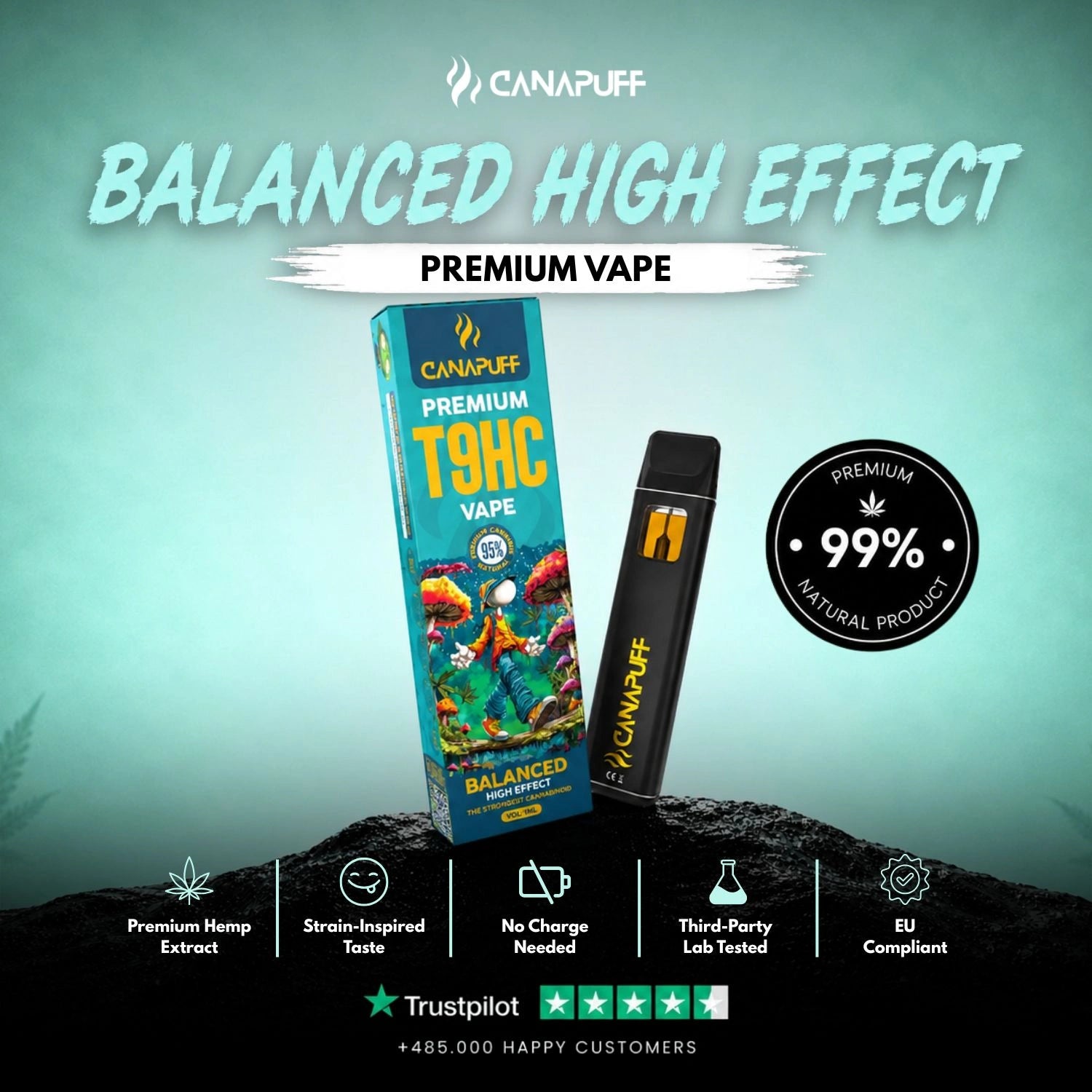 T9HC Vape Balanced 95% 1 ml