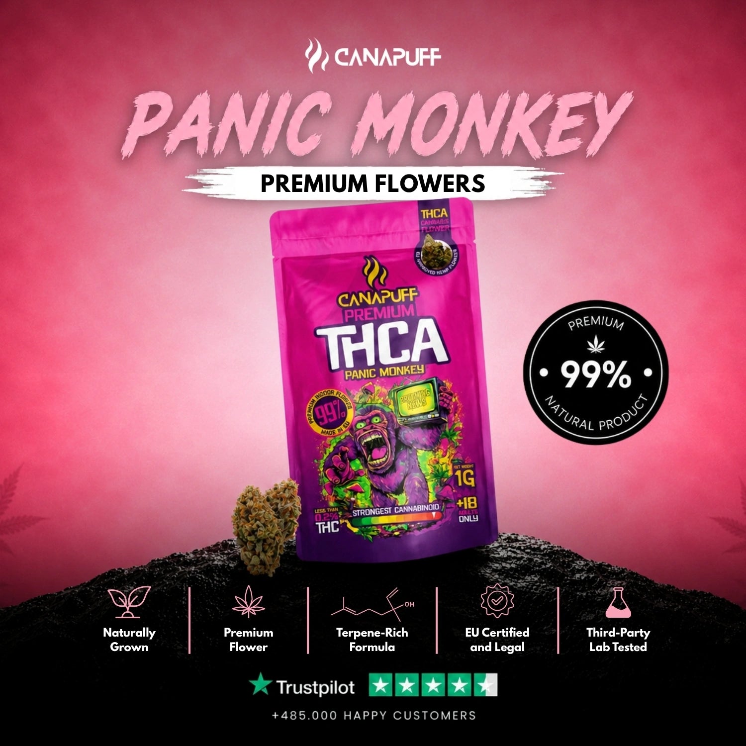 THCA Flores Panic Monkey 99%