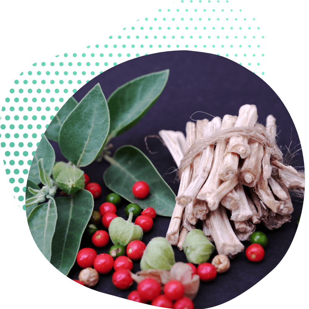 A Ciência por Trás da Ashwagandha