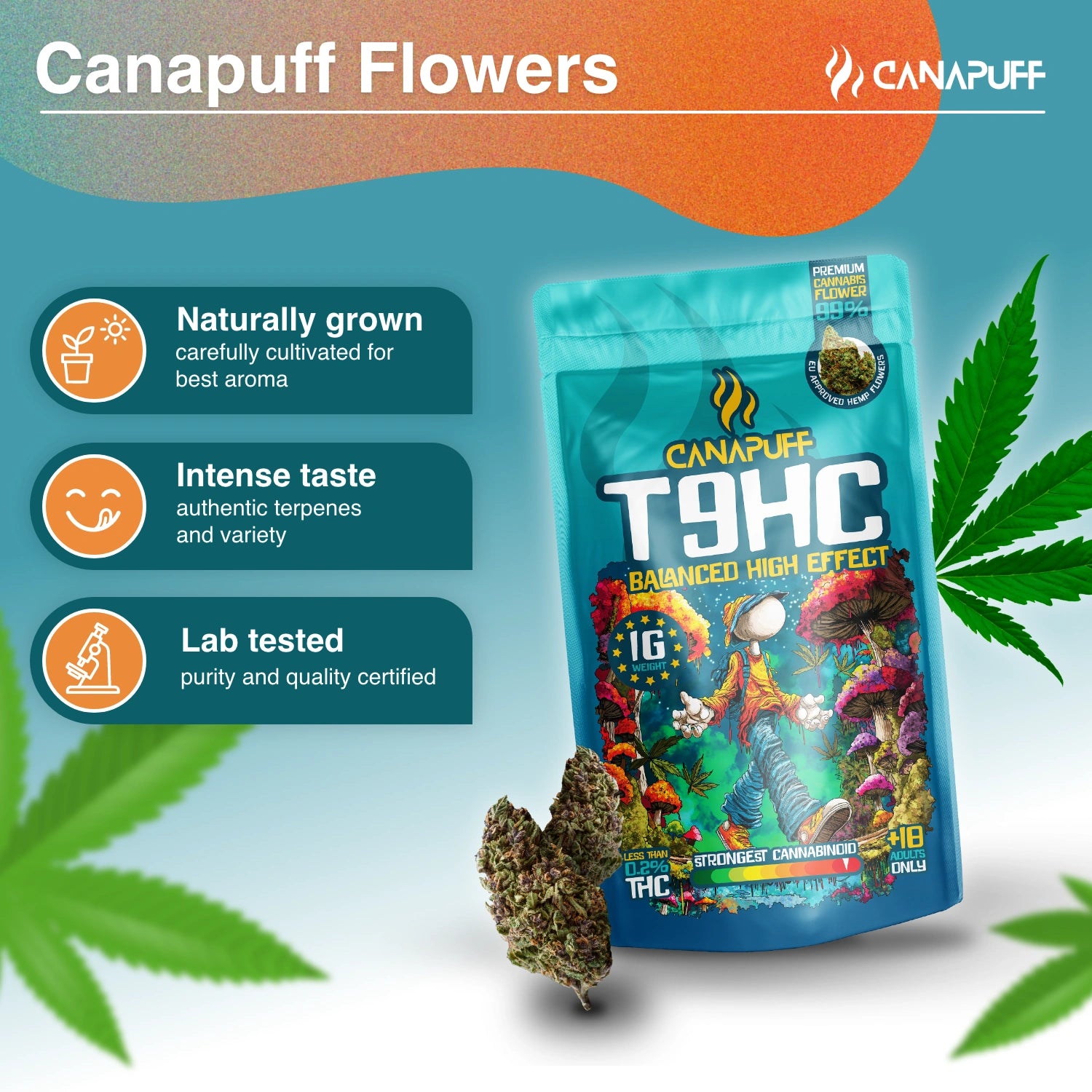 Canapuff - Balanced 99% - Flores T9HC